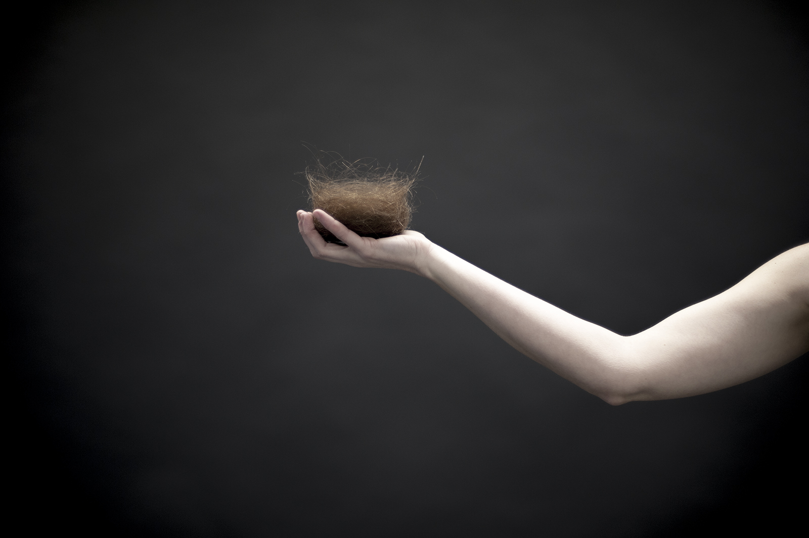 Clare Weeks red (nest) 2017 digital photography