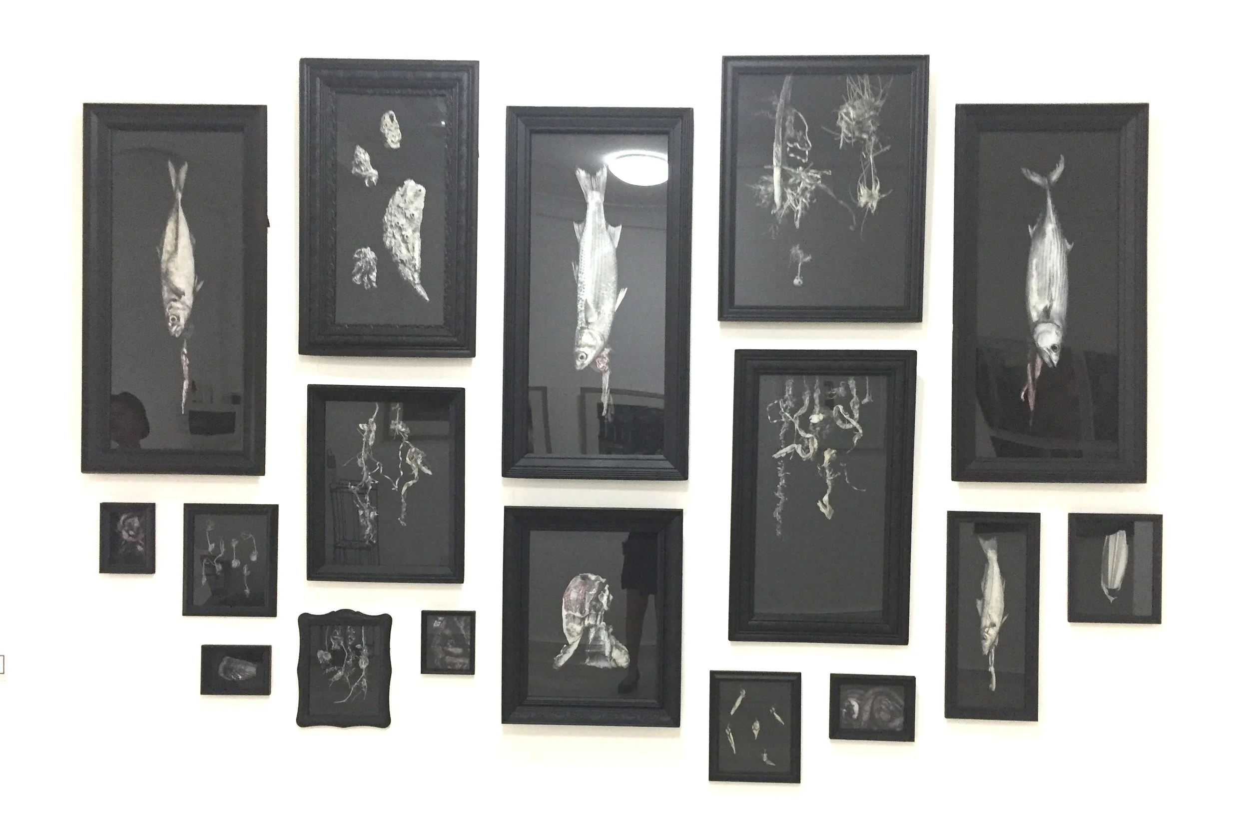 install view 