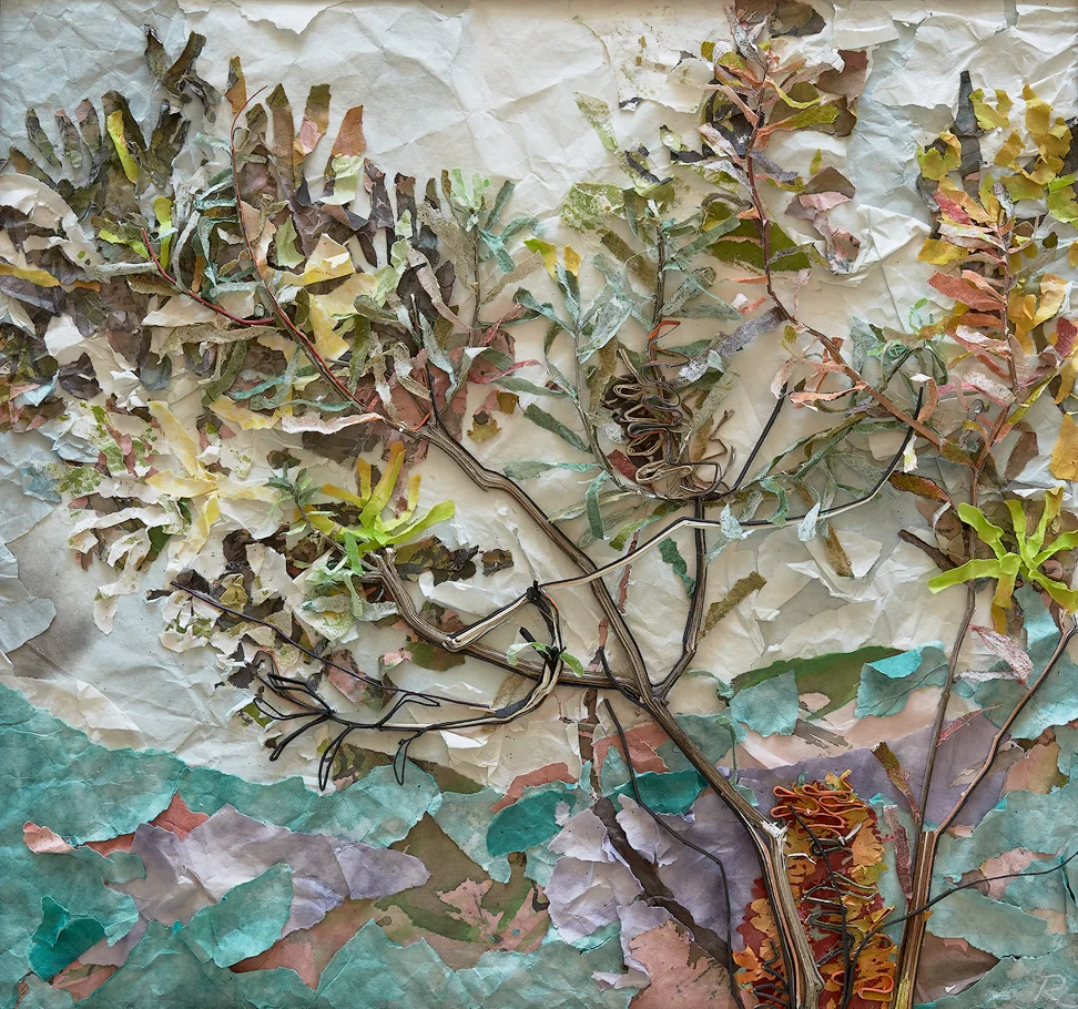 Rieteka Geursen The Draw of the Outdoors - Banksia Spinulosa 1 2018_chinese scroll paper, cotton matboard and ink