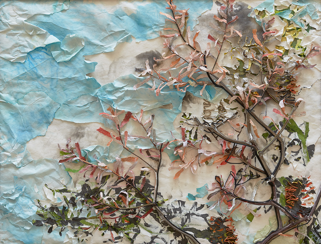 Rieteka Geursen The Draw of the Outdoors - Banksia Spinulosa 2 2018 chinese scroll paper, cotton matboard and ink