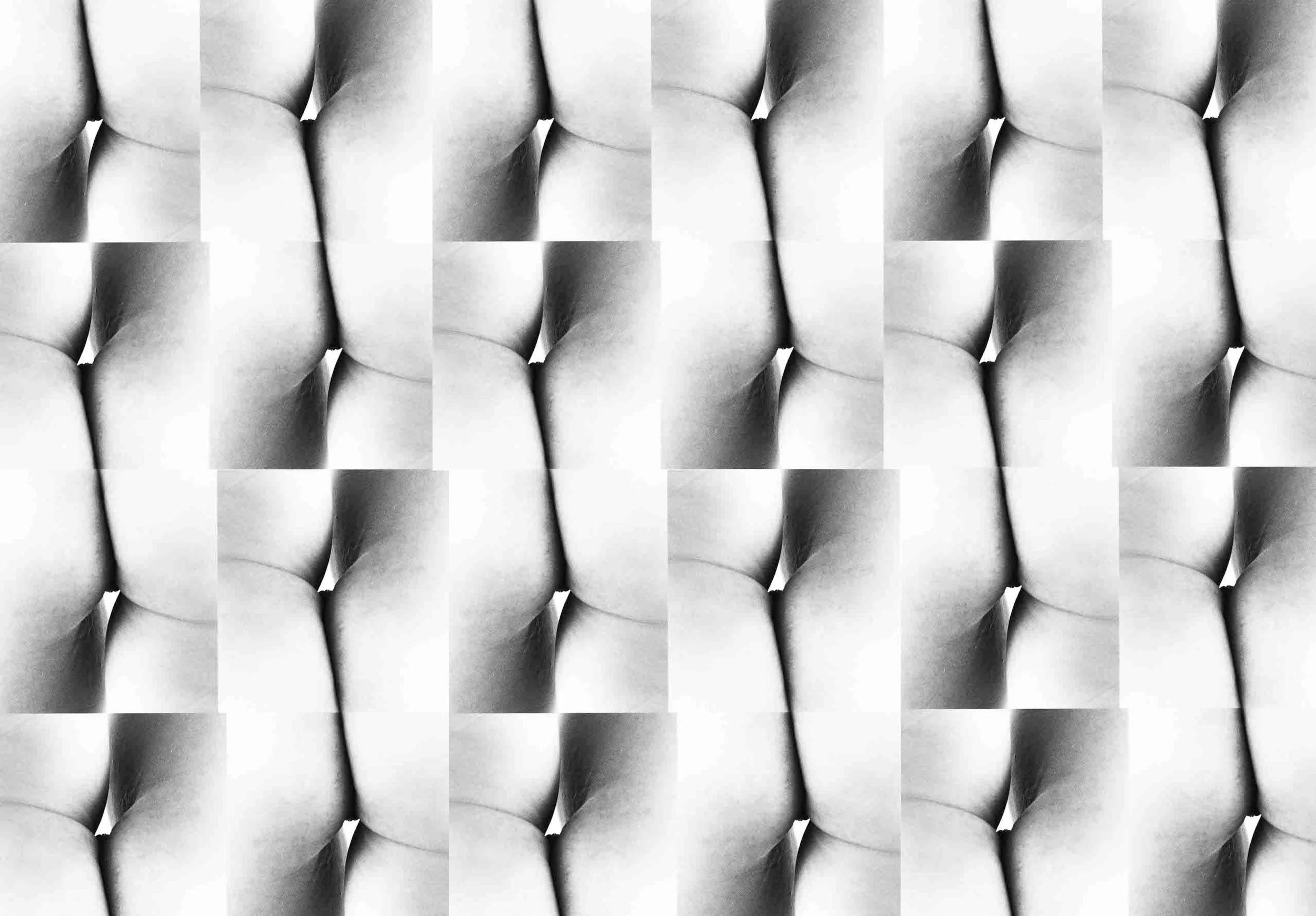 Justine Cogan You think you can photo installation
