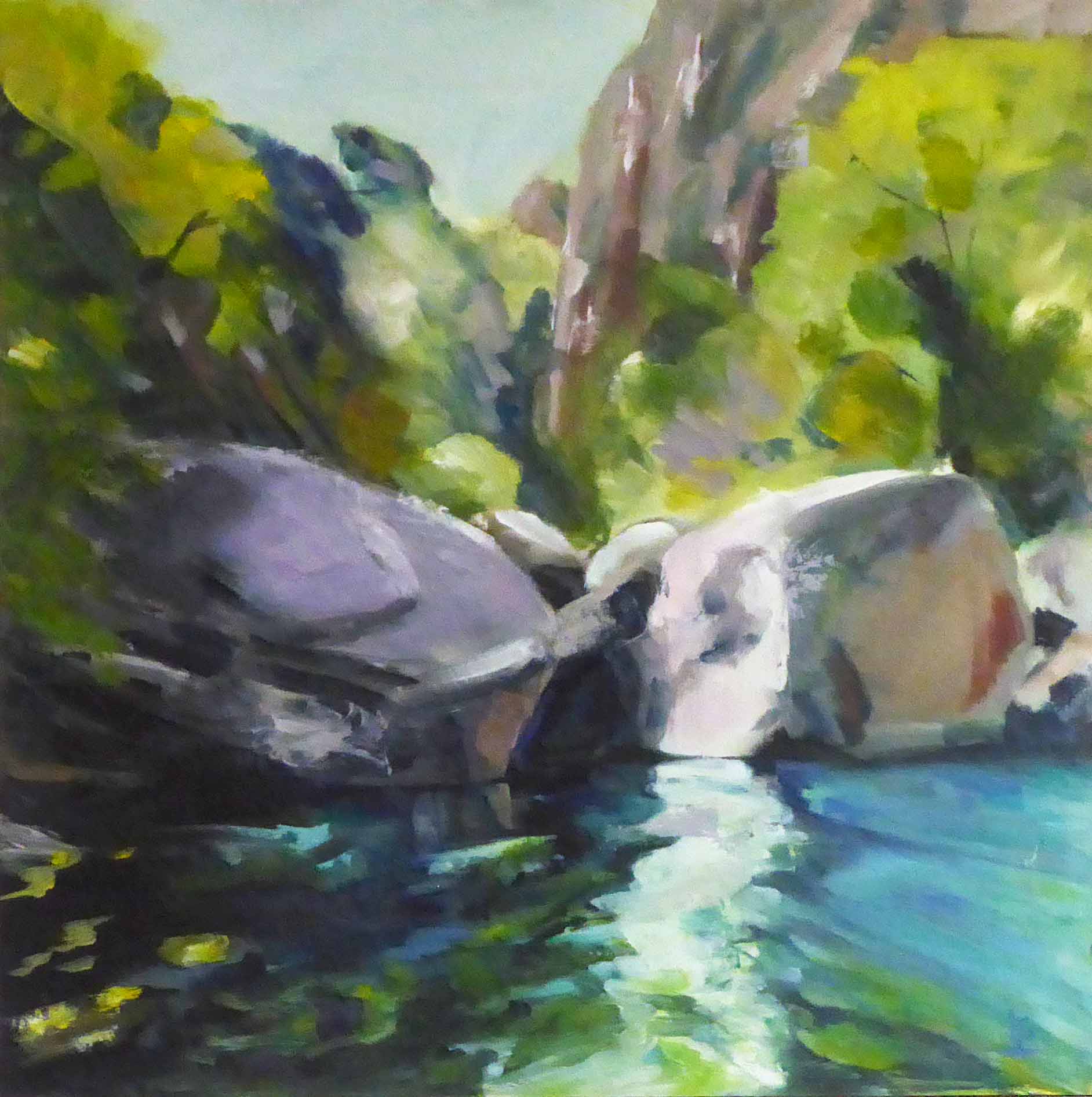 Shelagh Lummis Stillness 6 2018 oil on board 60 cm x 60 cm $850.00