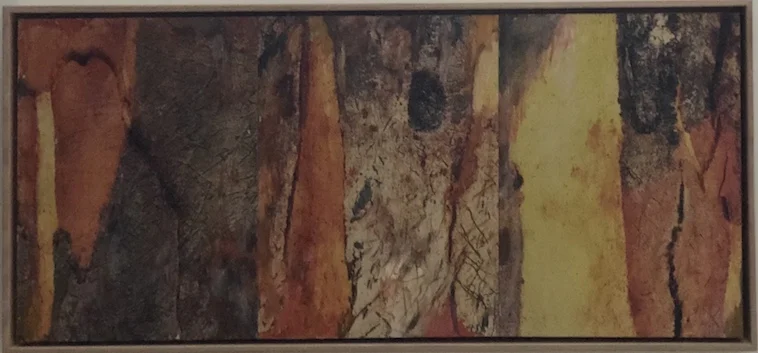 Helene Leane Inside spaces (bark) 2019 mixed media on board 33 x 71cm frame $550.00