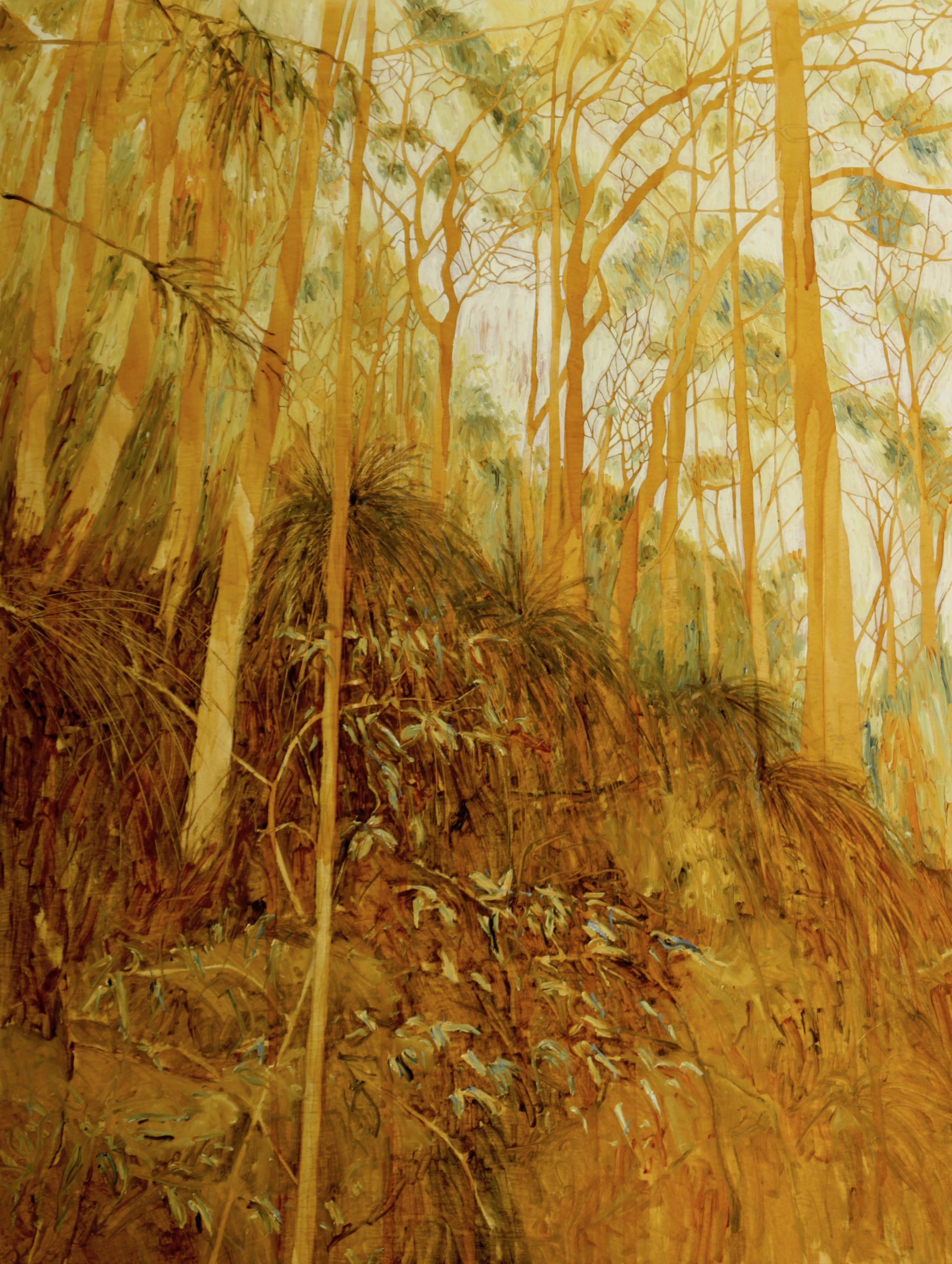 Linda Greedy Grass Trees near Quarrobolong, Watagan National Park oil and shellac on board 120 x 90cm $2000.00