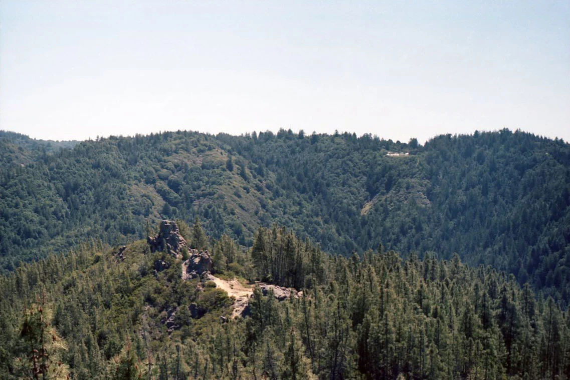 buzzards-roost-copy.jpg