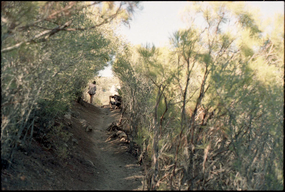 find-malibu-peak-copy.jpg