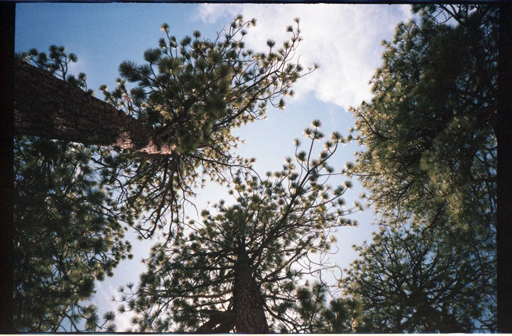 img038.jpg