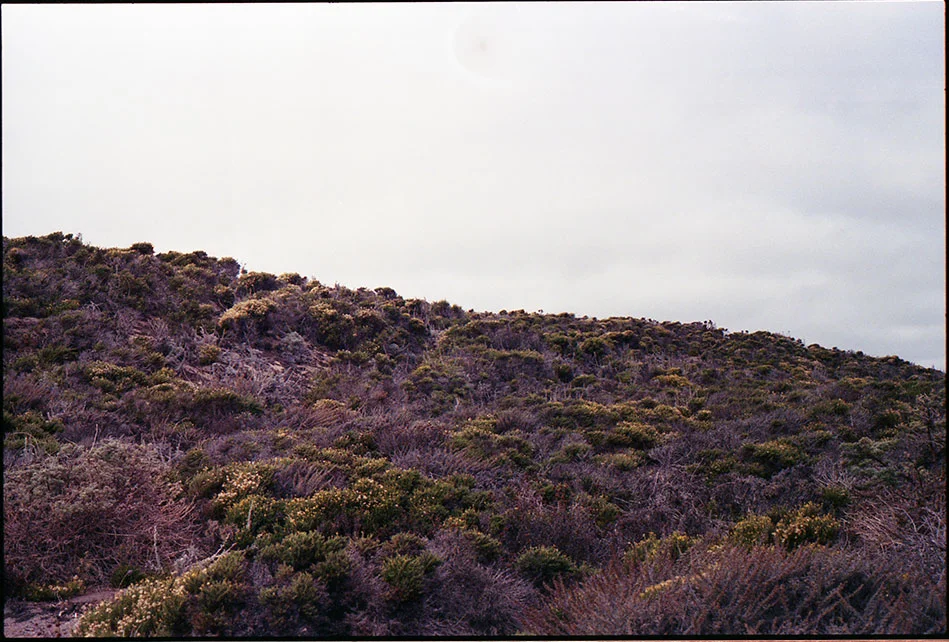 img084.jpg