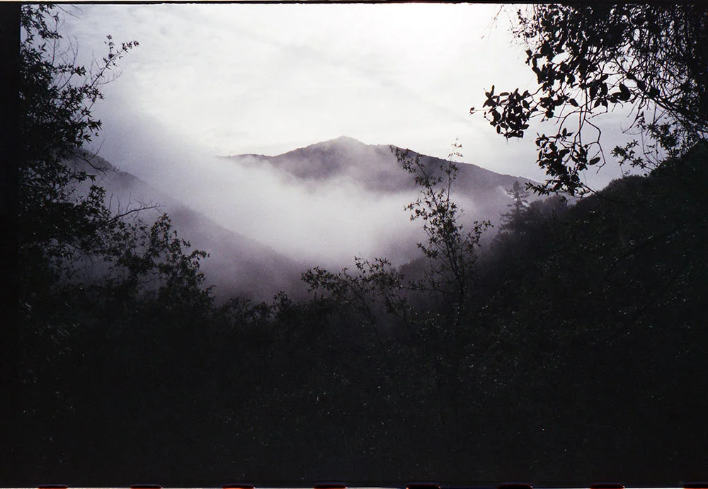 img228.jpg