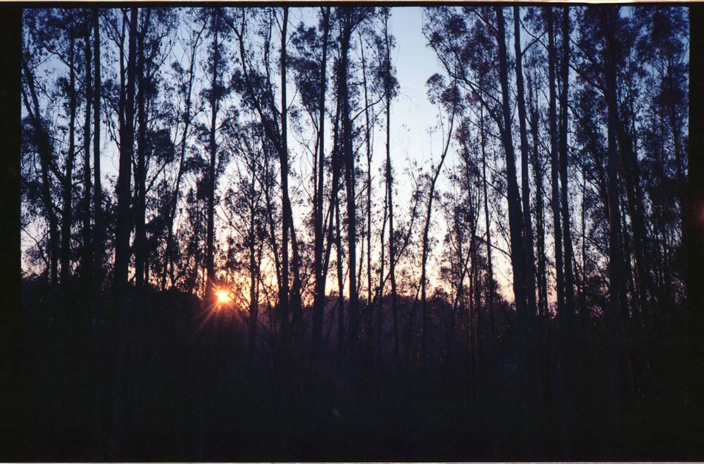 img205.jpg