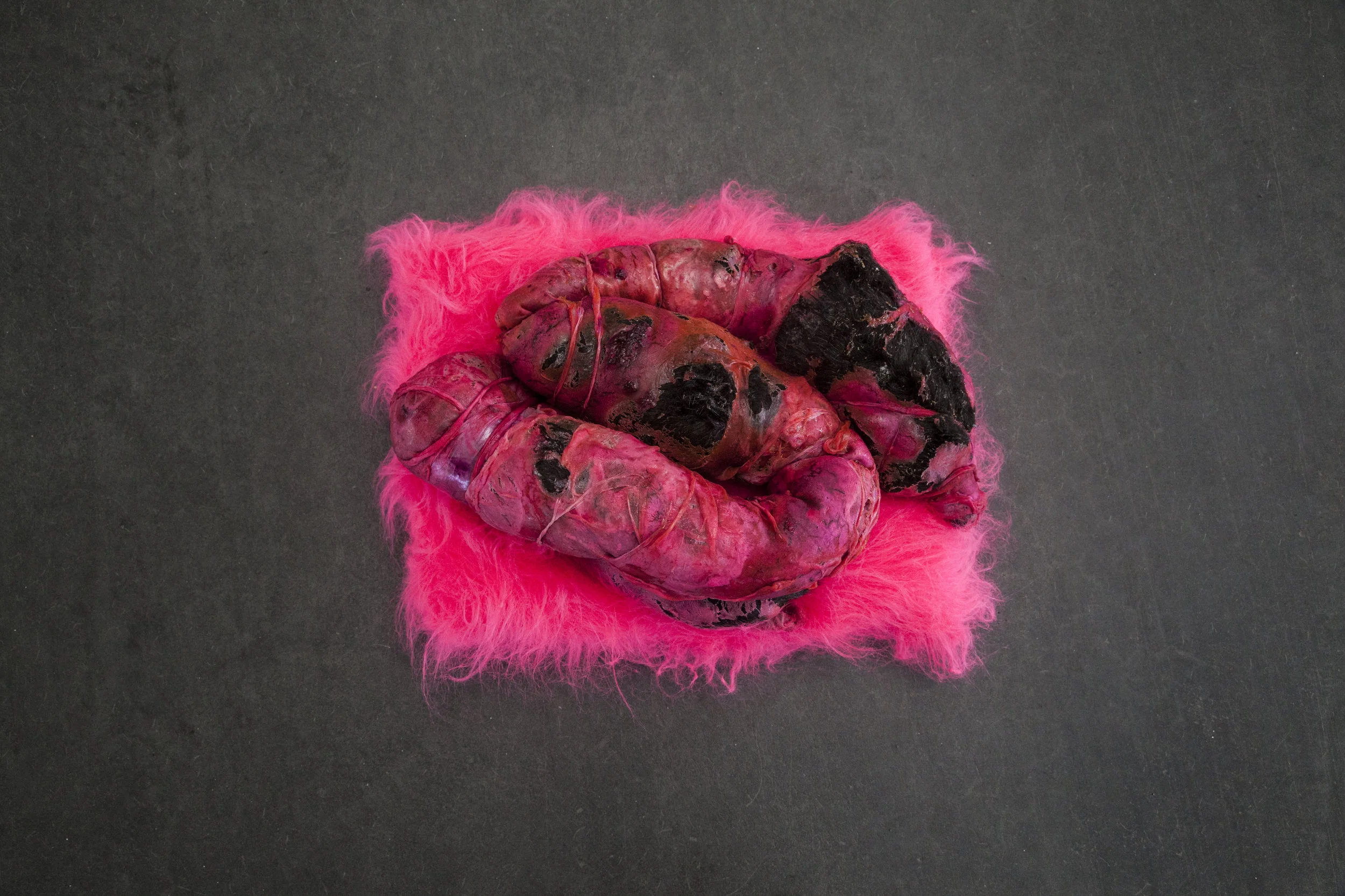 Pia Antonsen Rognes, Traces of love and revulsion . Foto: Magnús Elvar Jónsson