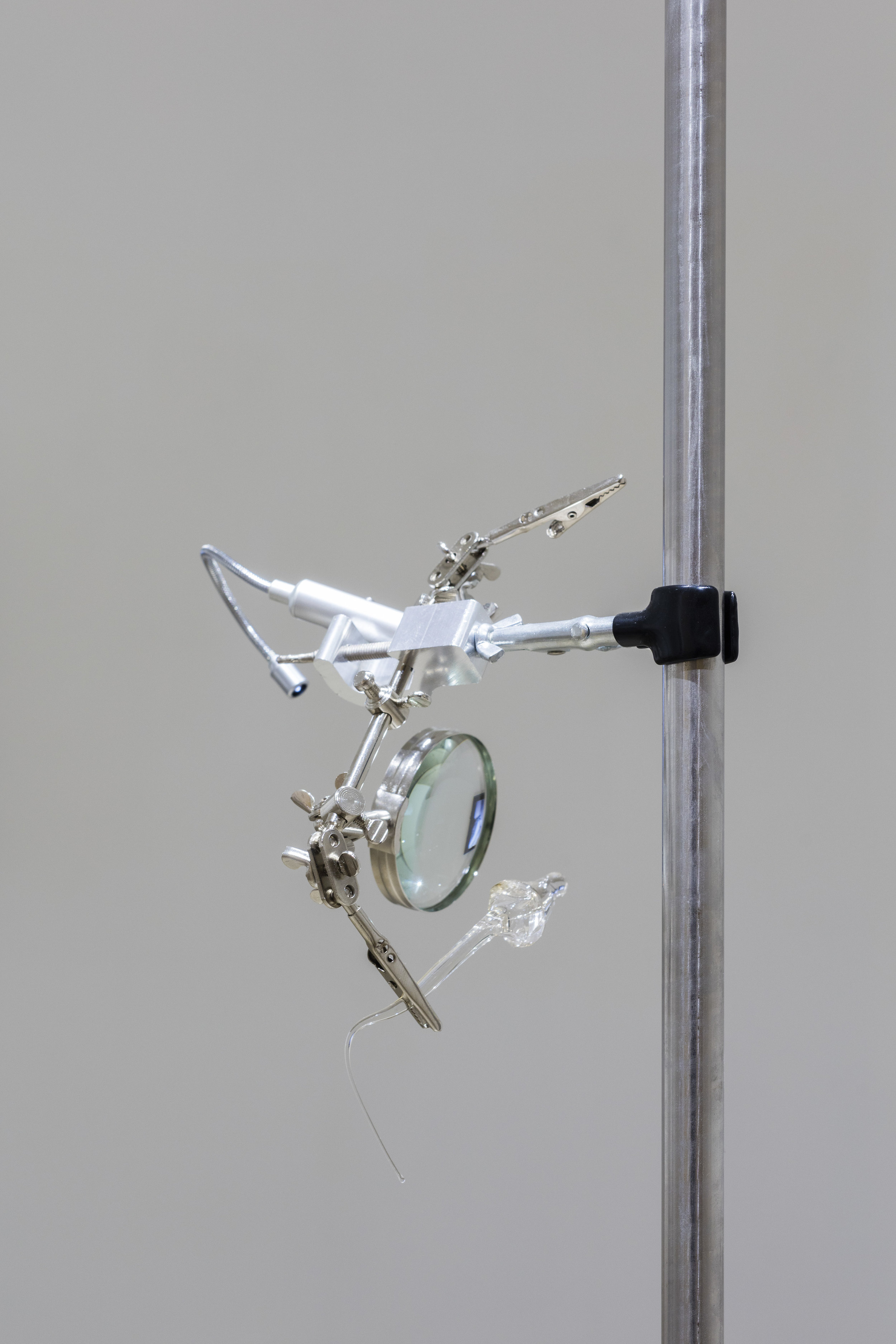 Anne Guro Larsmon. Detalj av Sympatric Speciation . Foto: Bjarne Bare