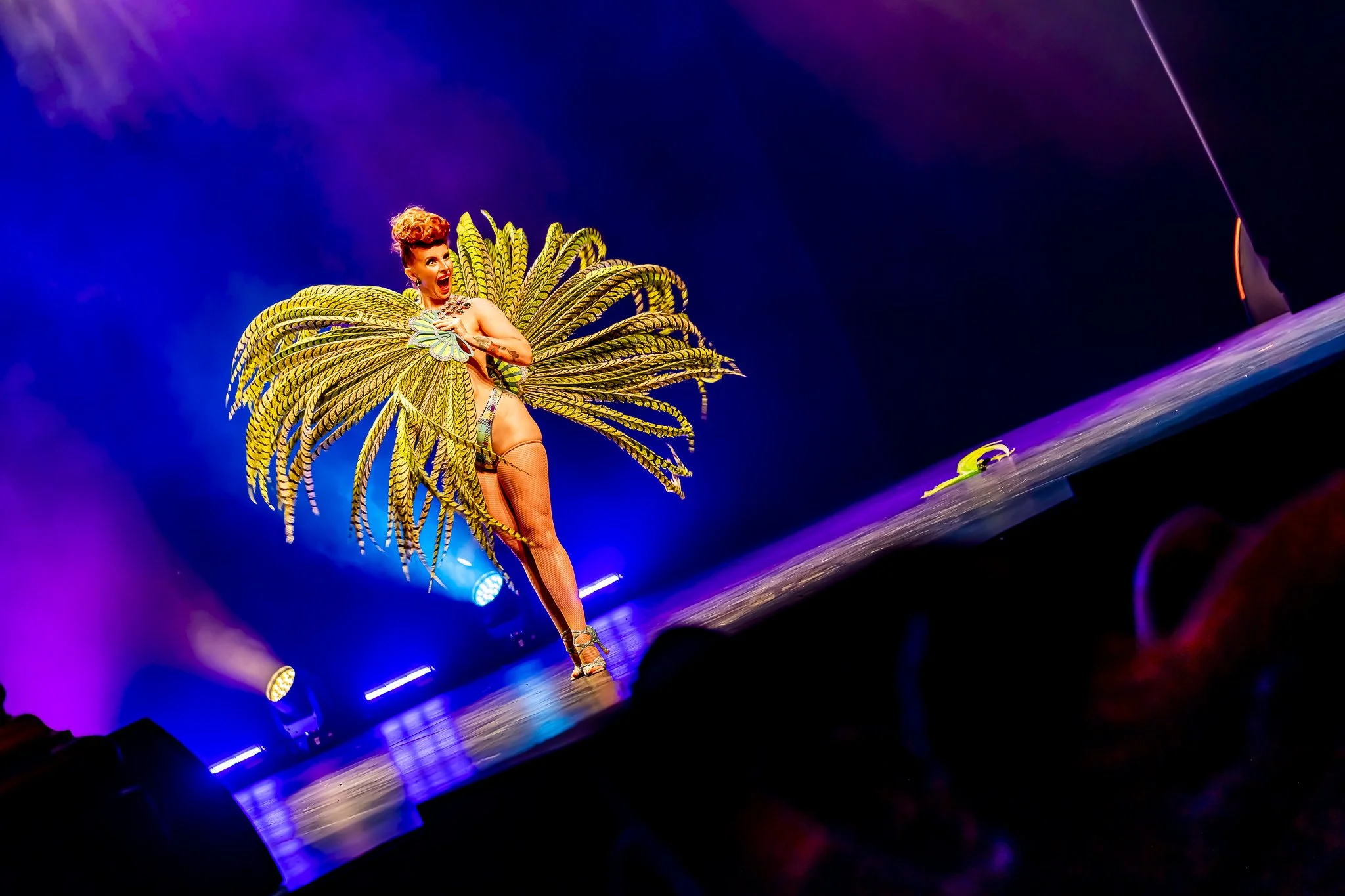 The History of The Feather Fan