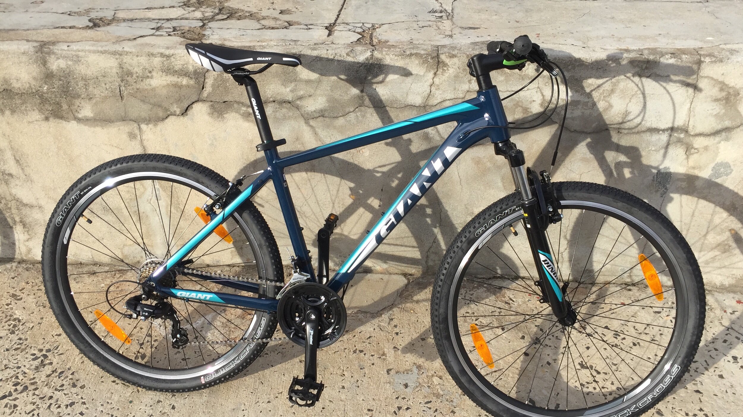 giant rincon for sale