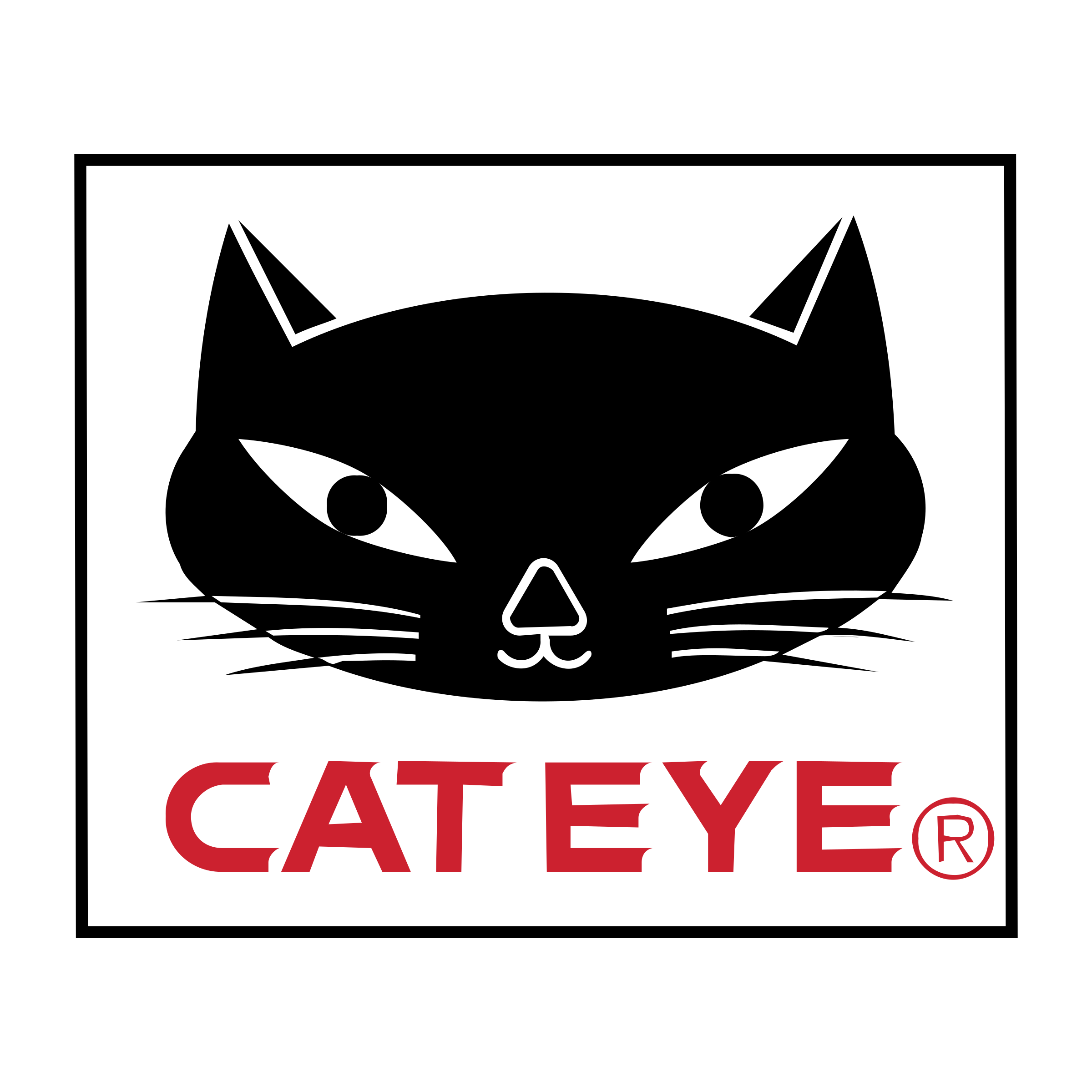 cat eye.png