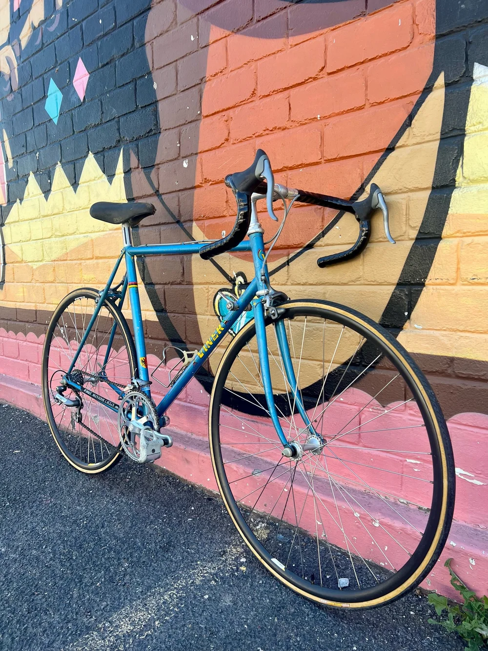 Viner (55cm) — Woodstock Cycleworks