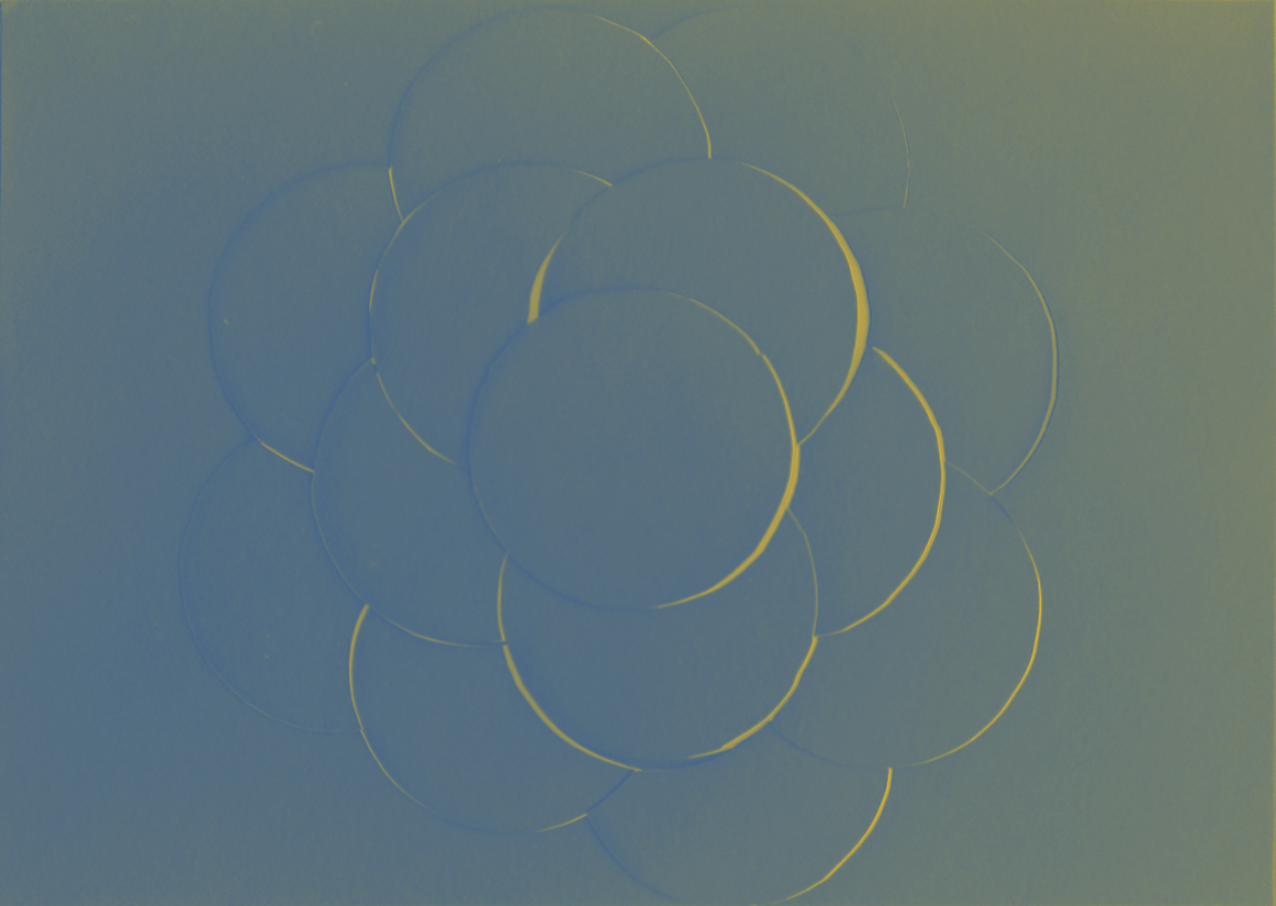 falsecolor 11.jpg