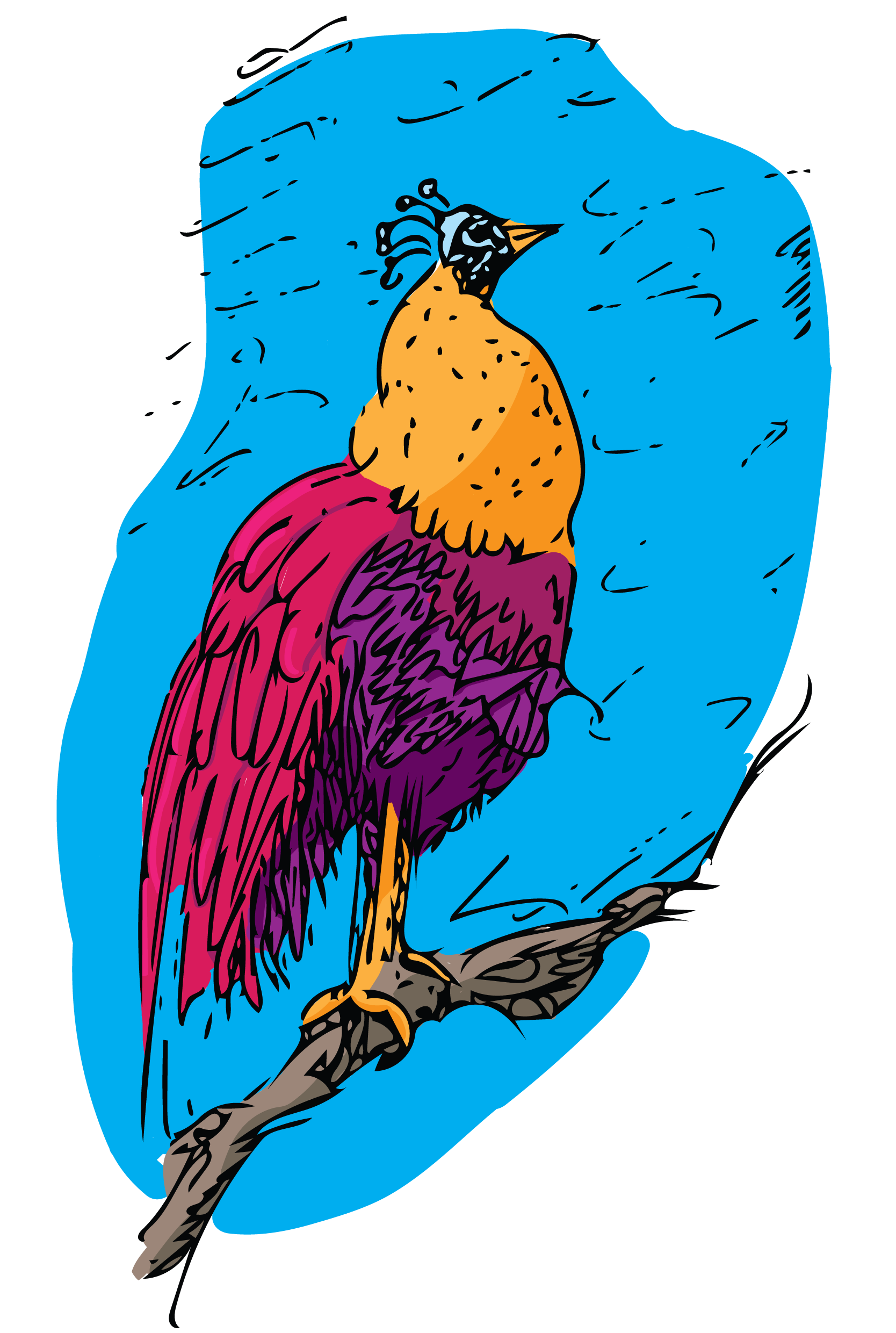 colourbird_colourbird.png