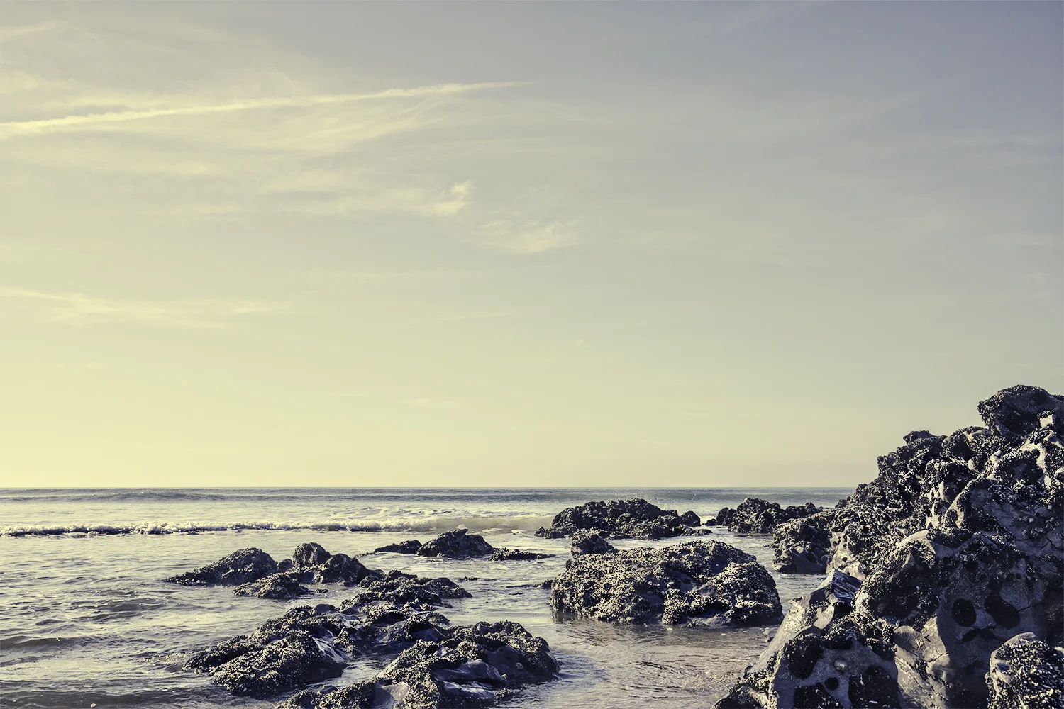 7U5A6927-Edit.jpg