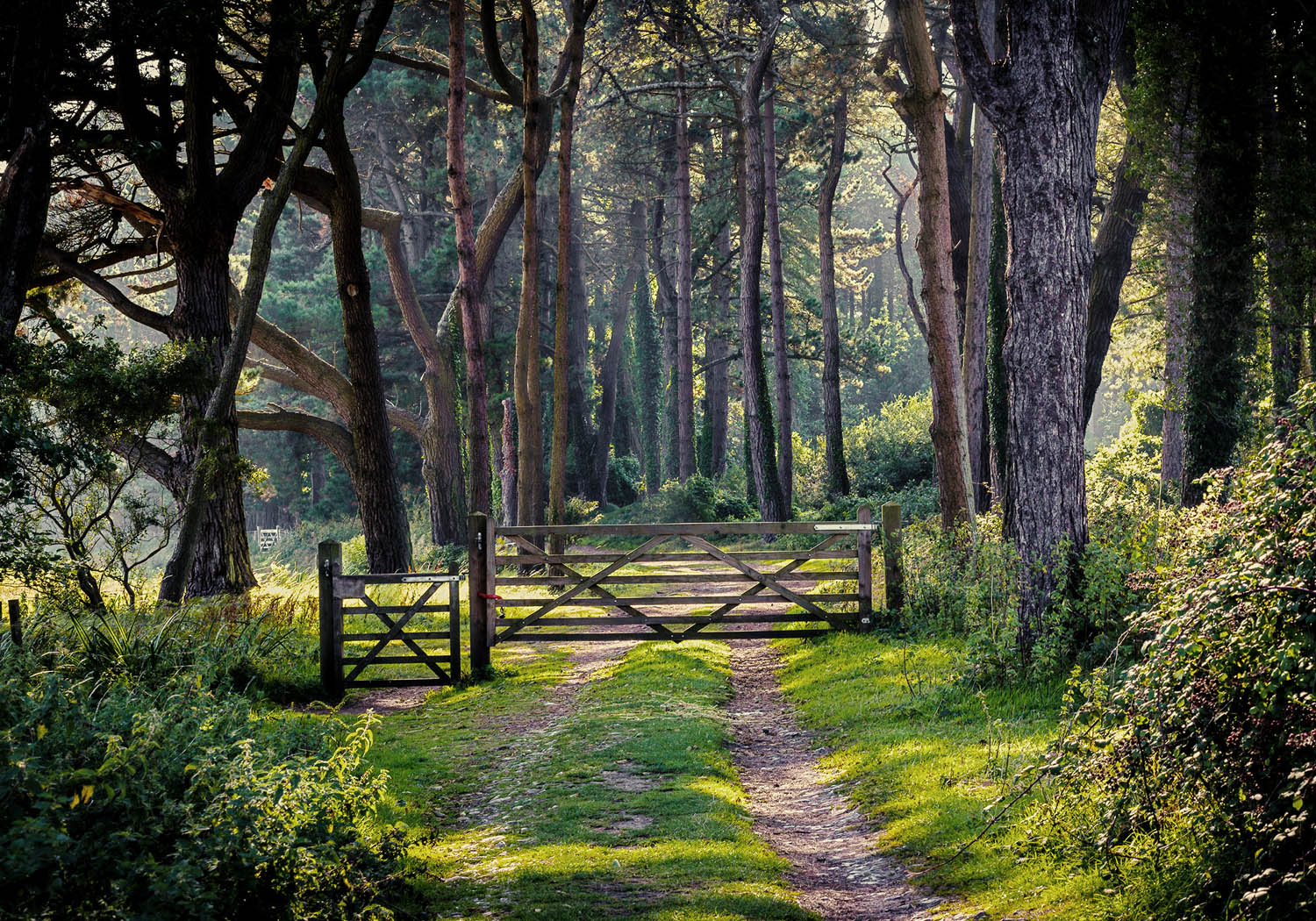 Gower Walking Festival 2018 — Brynymor Cottage Gower Holiday