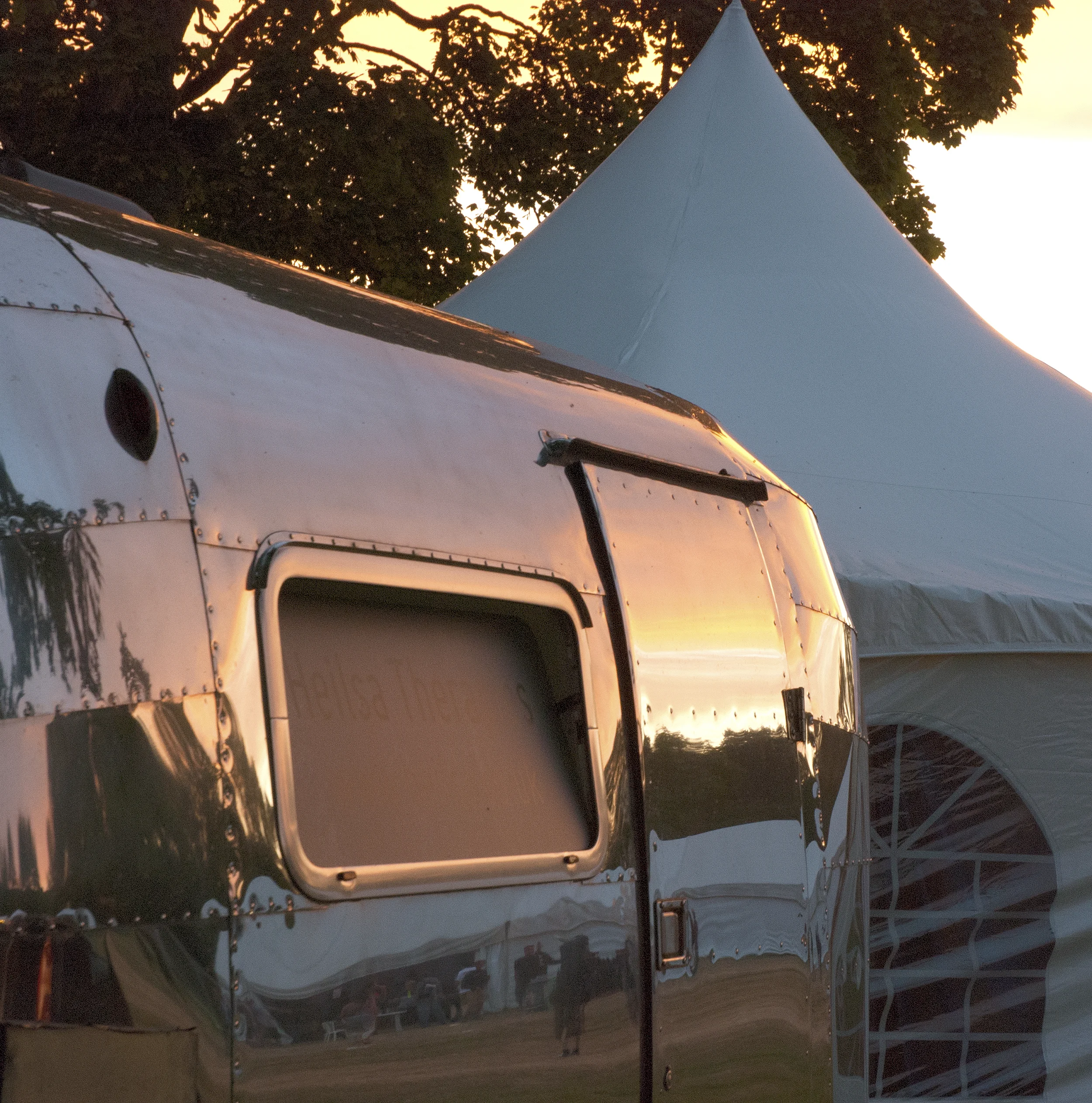 Into The Wild Music Festival