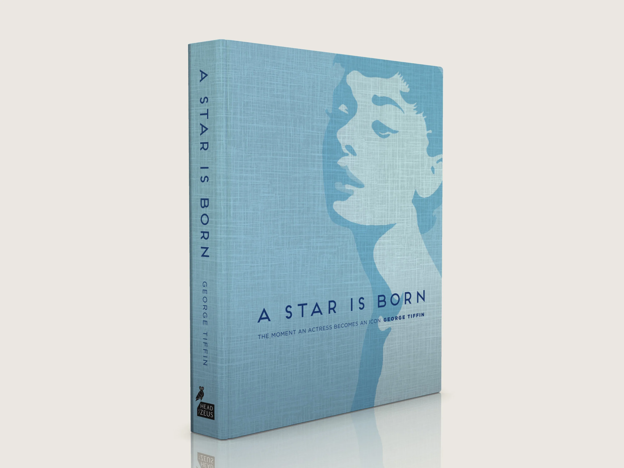 STAR IS BORN cover 3D.jpg