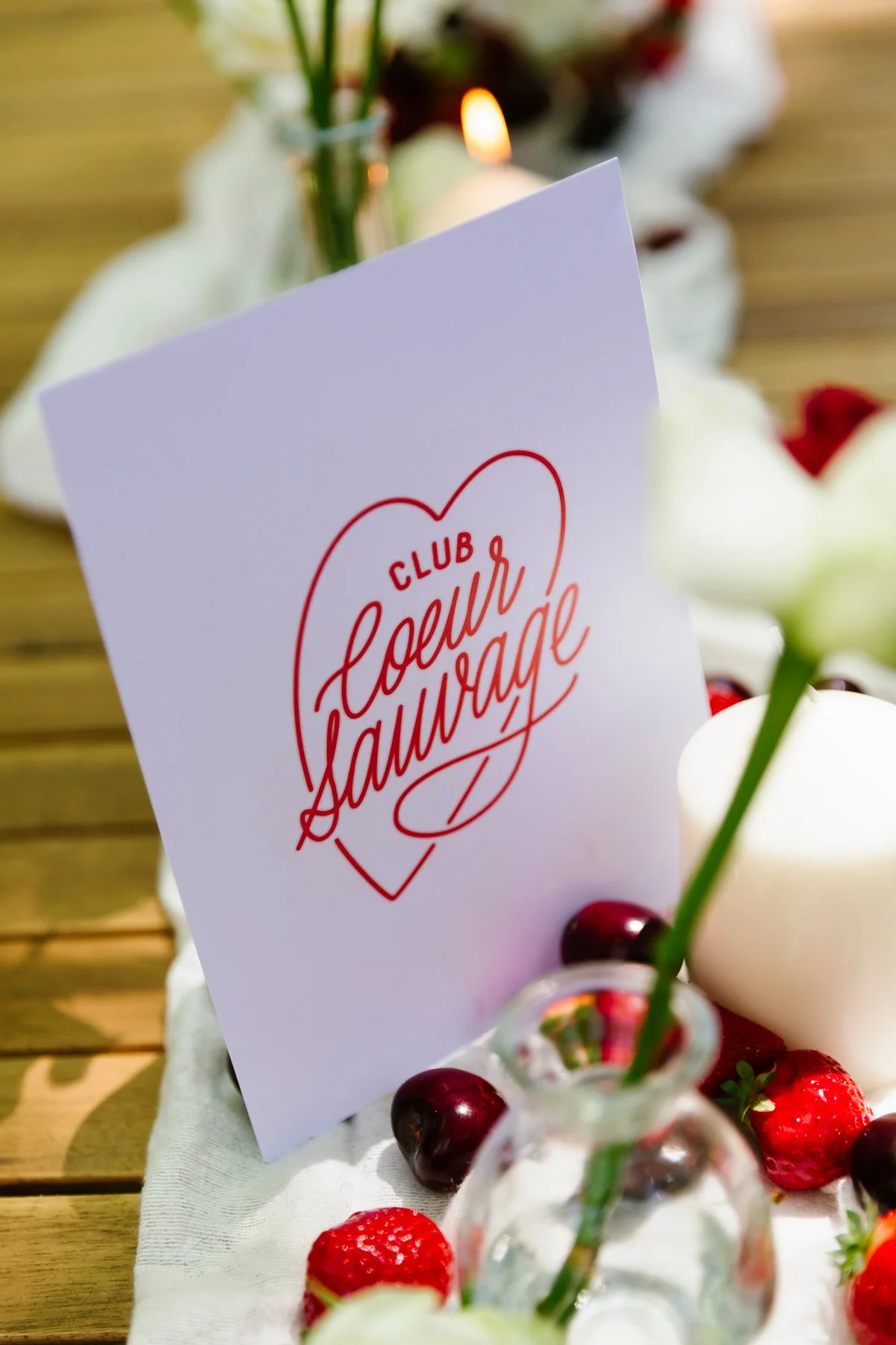 ClubCoeurSauvage3©DorotheeDubois.jpg