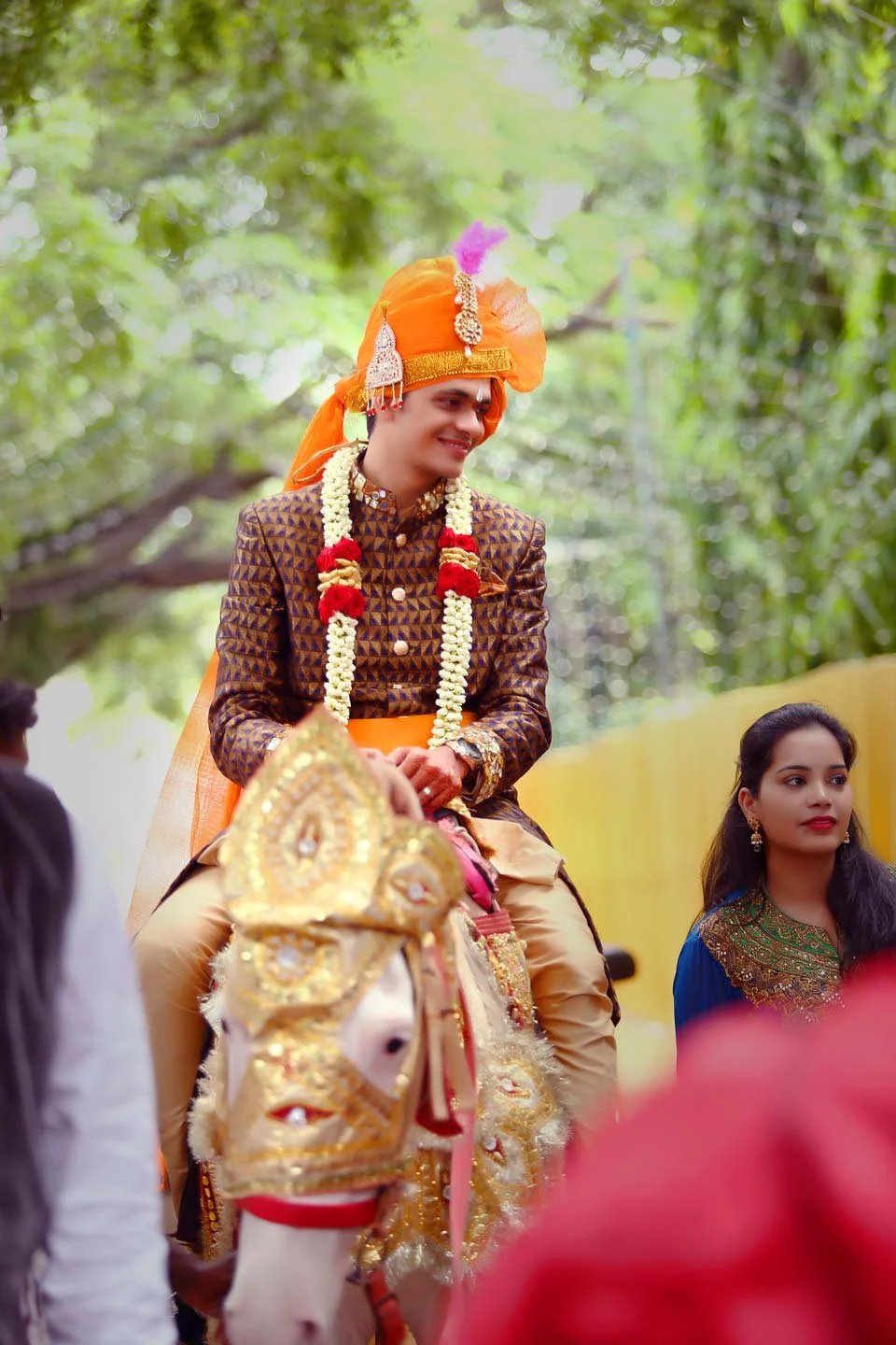 Marwari groom rides on a horse as he enters the wedding venue