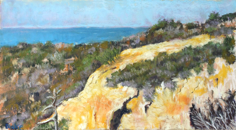 Torrey Pines