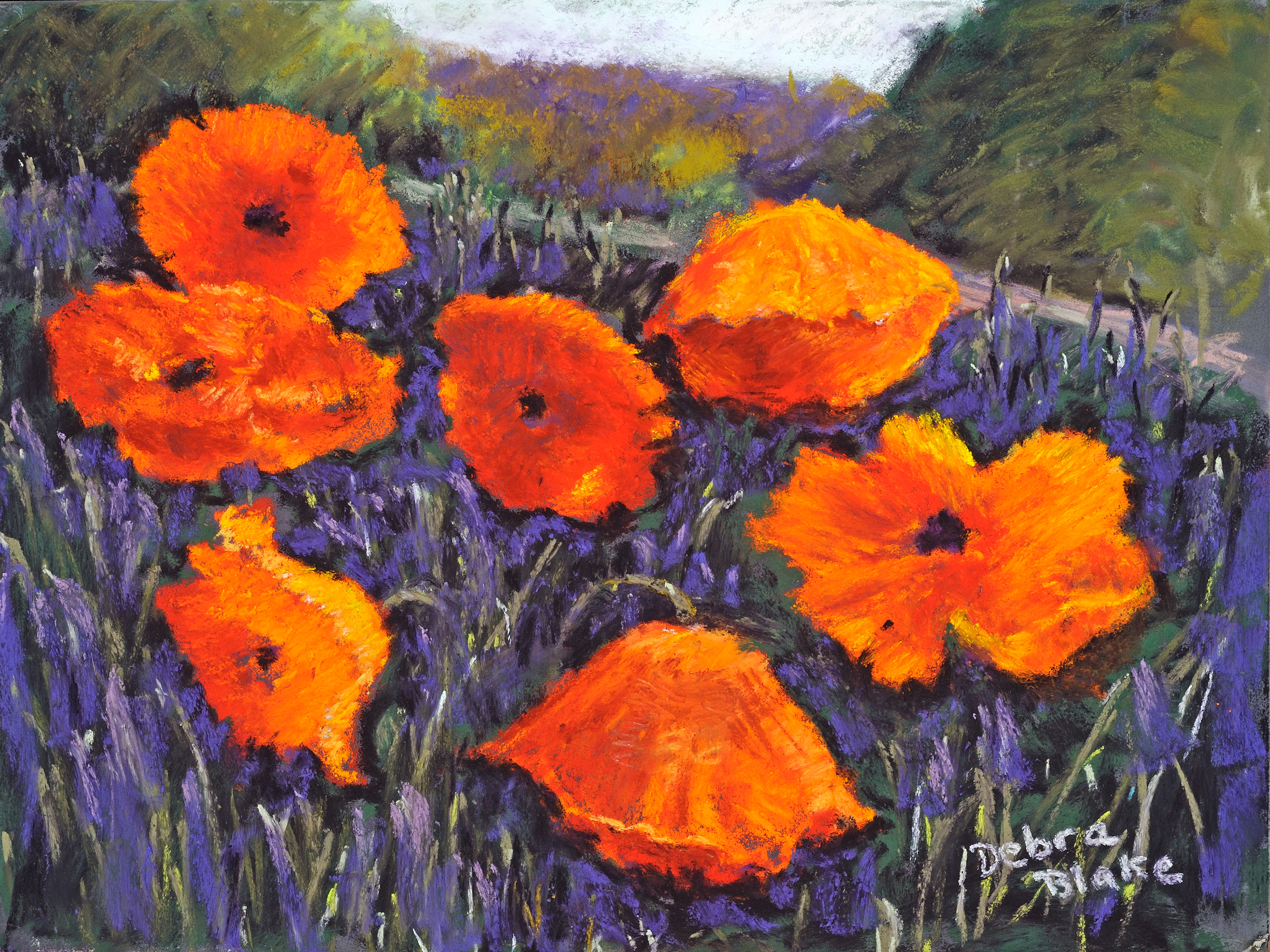 Poppies