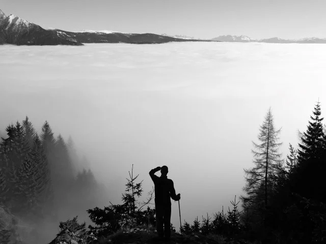 Transition: A Path to Clarity