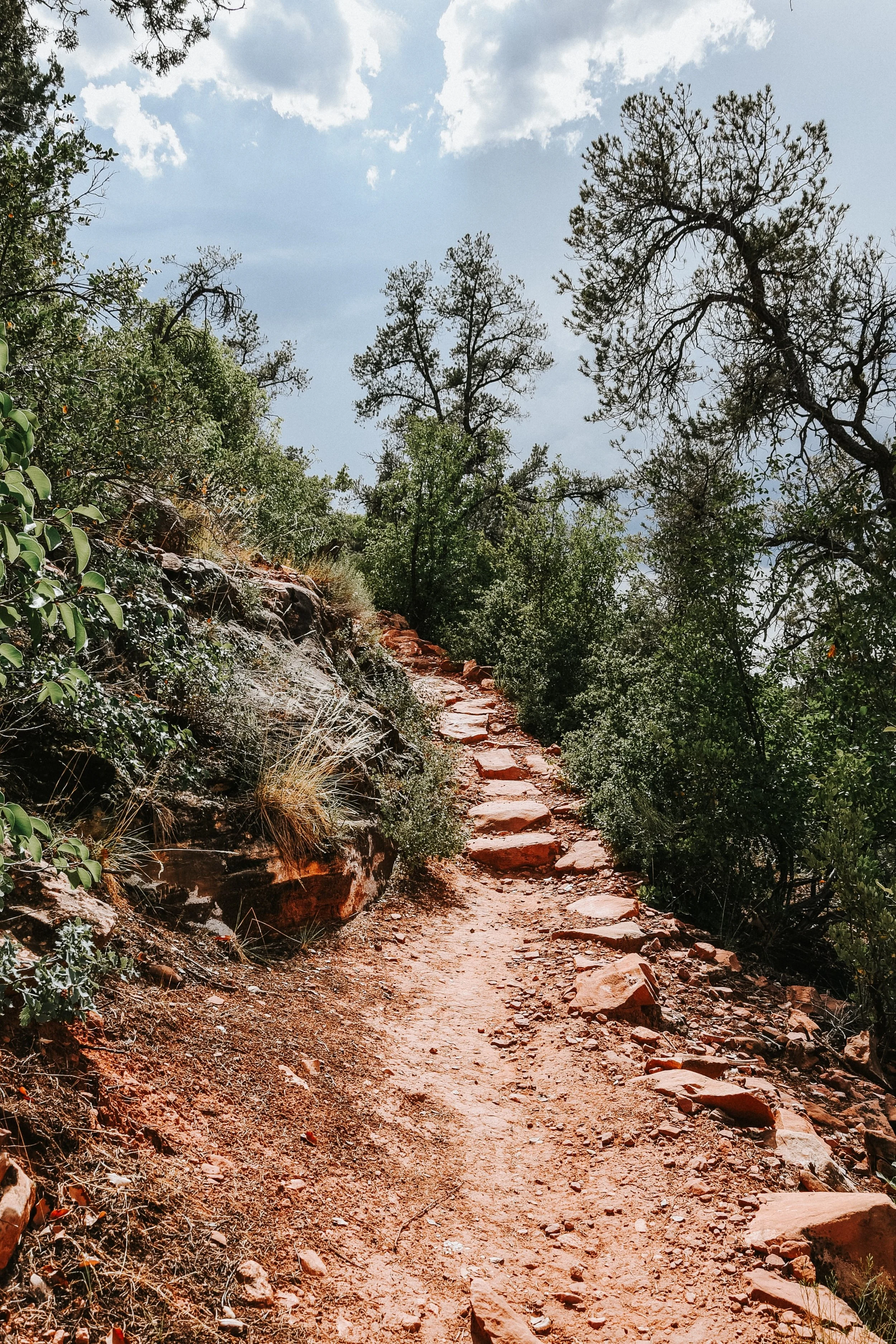 The Path to Resilience