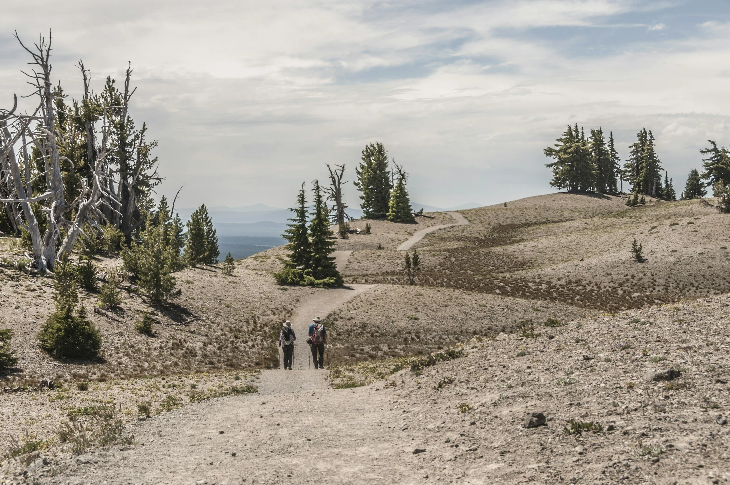 At the Start of a New Year, Someone You Know Is in Transition