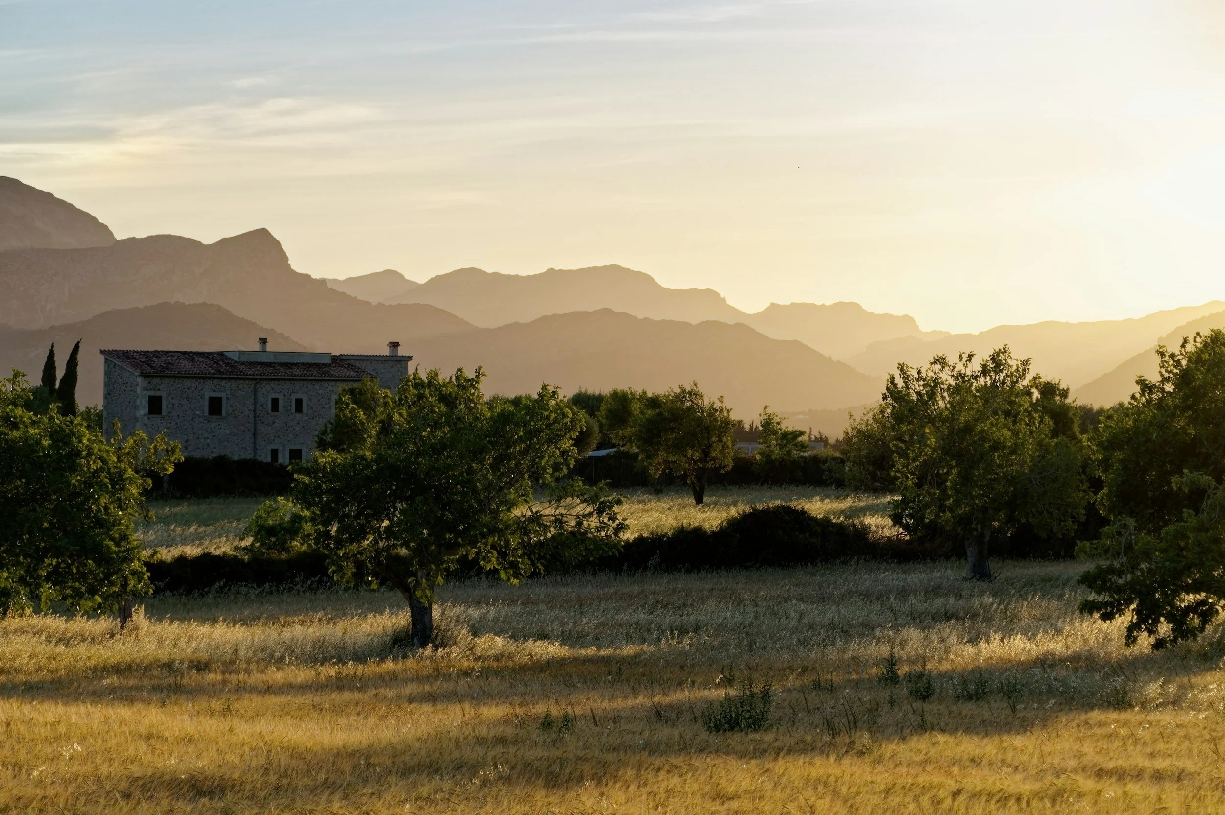 Why Transitions Feel So Overwhelming (Even When They Make Sense)