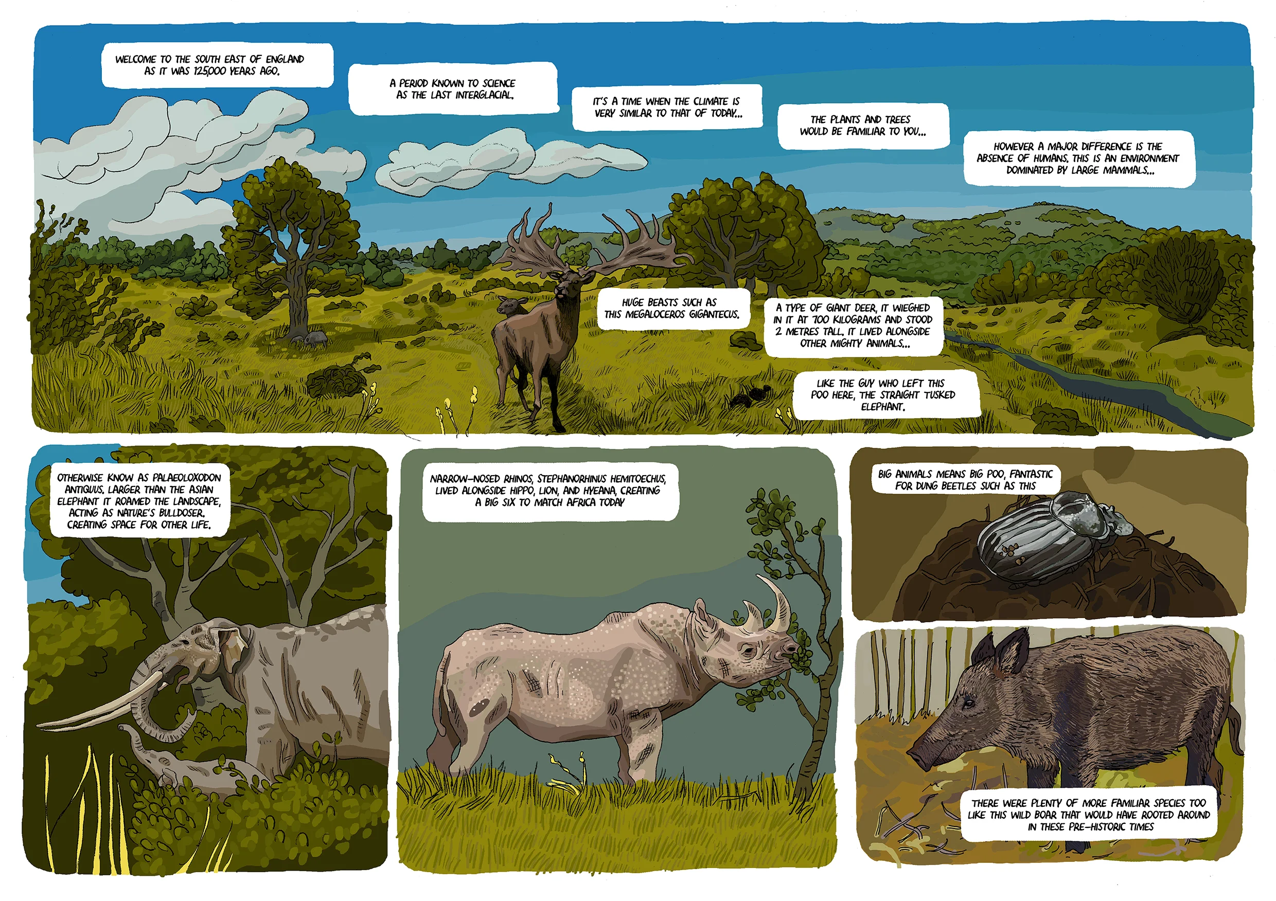 Thru The Bush Poster 1 INTERNET.jpg