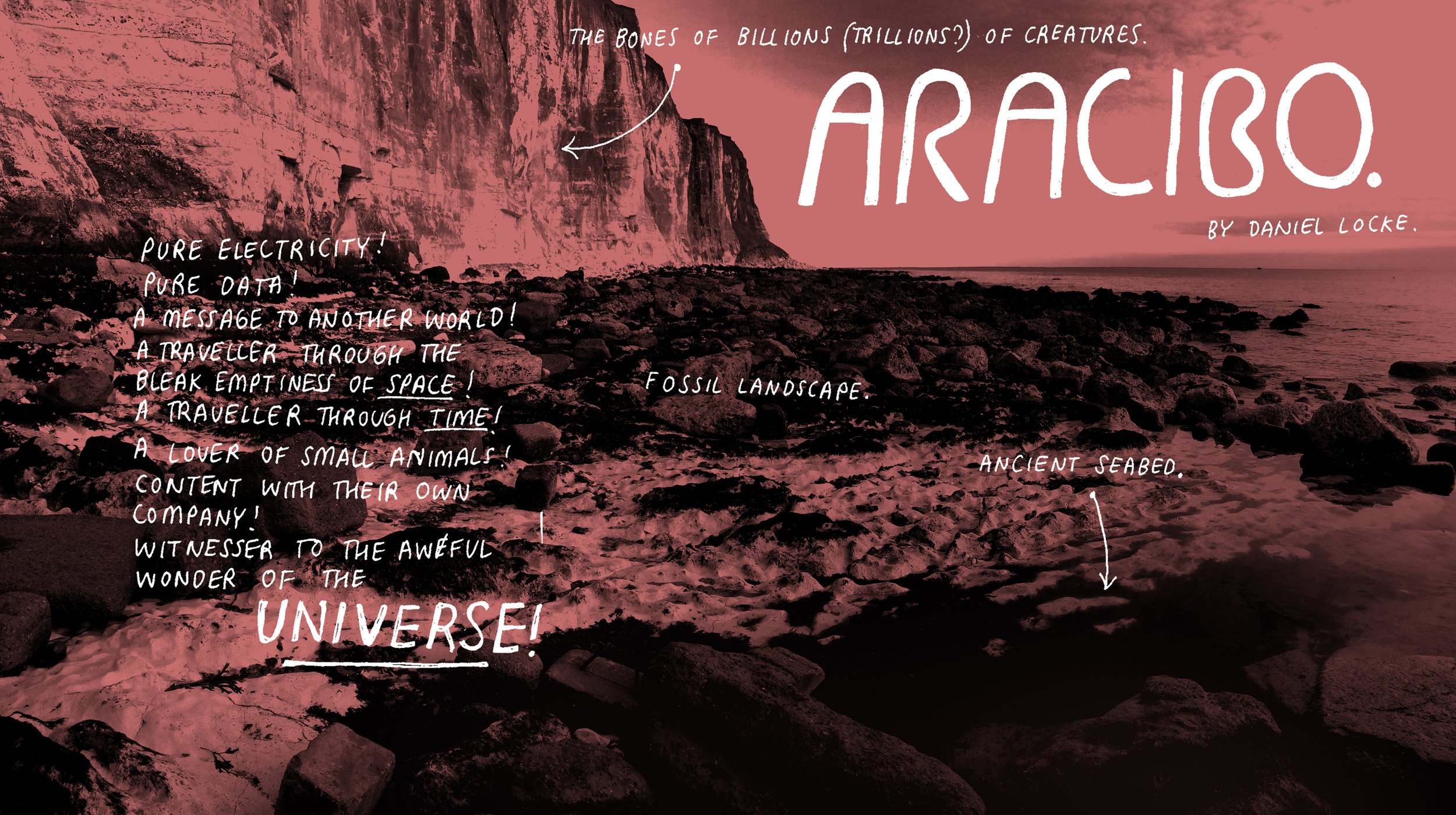 Aracibo cover PRINT.jpg