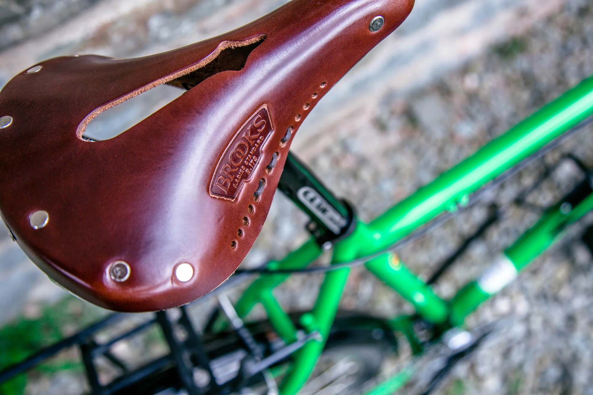 Al853saddledoveseye.jpg