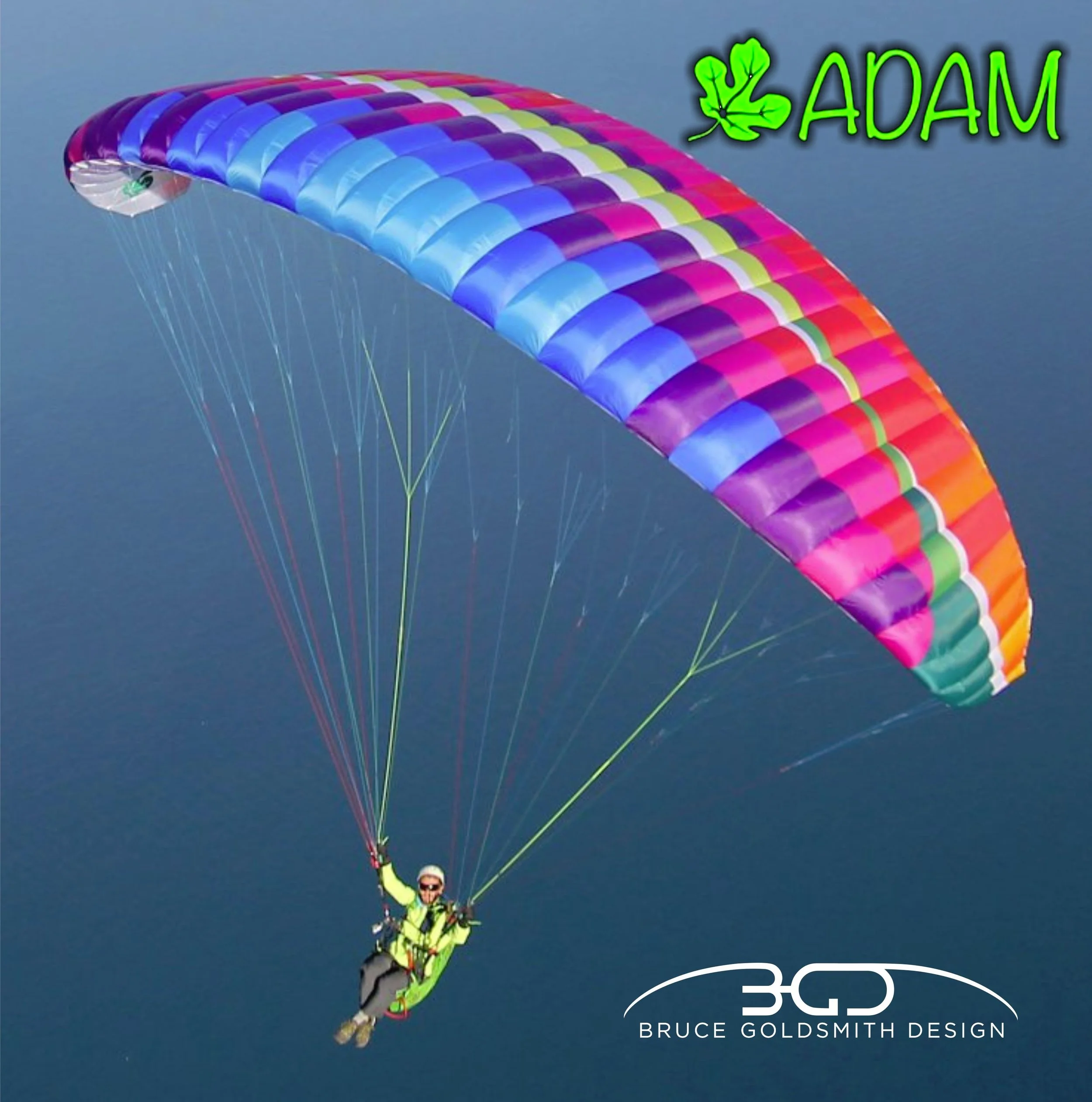 BGD Adam_1.jpg
