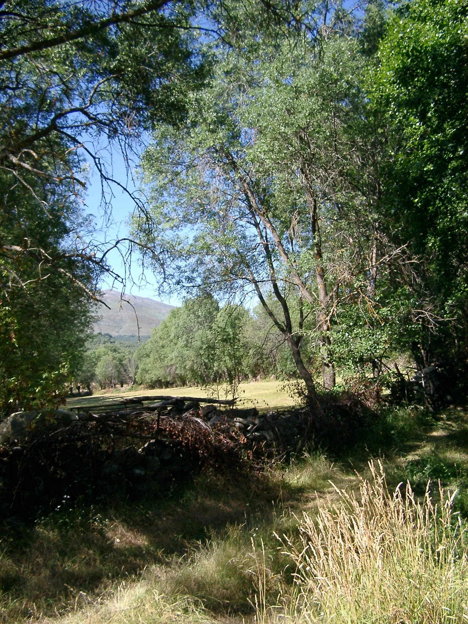 ....SENDERISMO..RANDONNÉE..HIKING..VANDRETURE..WANDERN....