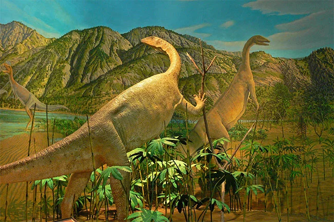 Amherst College Dinosaur Diorama