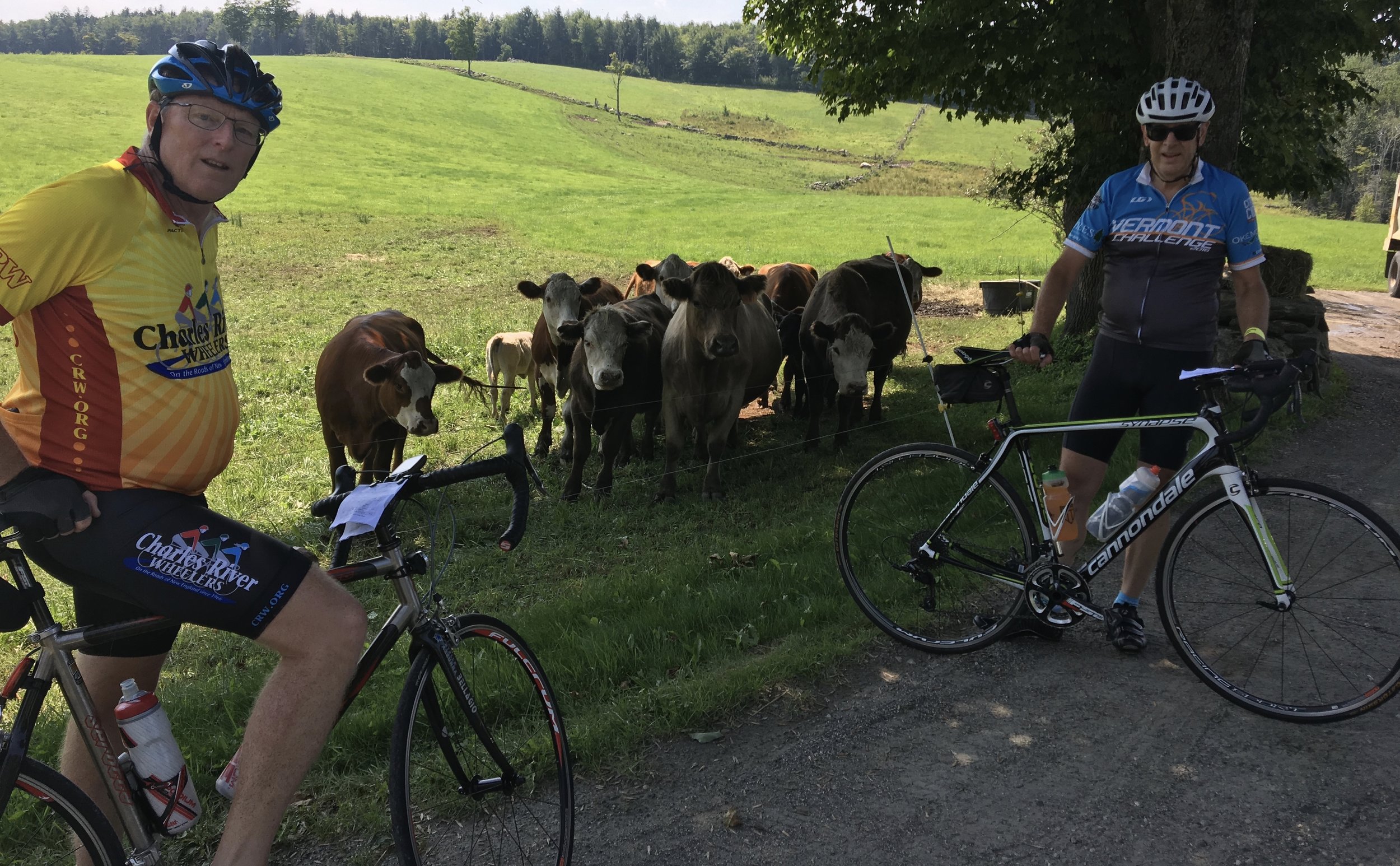 Meeting the locals along VT 100