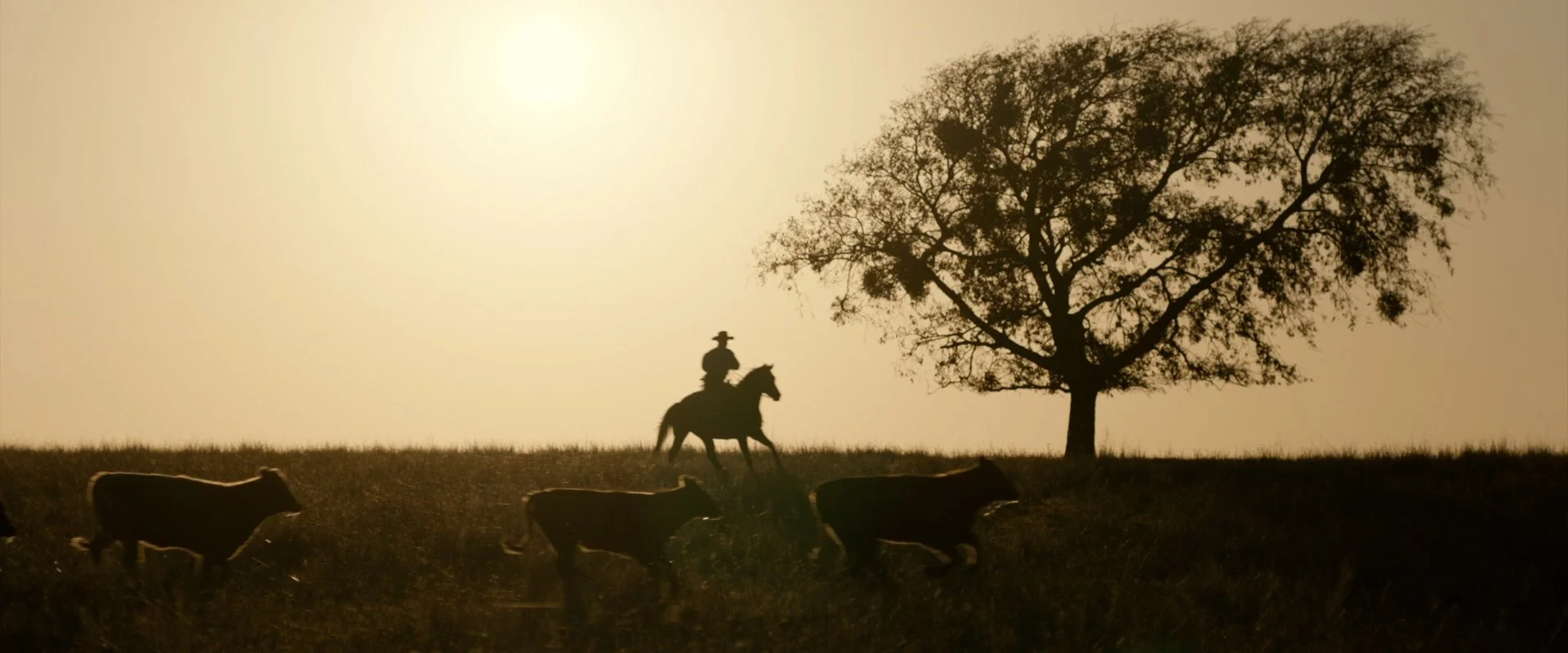 Friday Beers Rosé Gallery Image 7.jpg