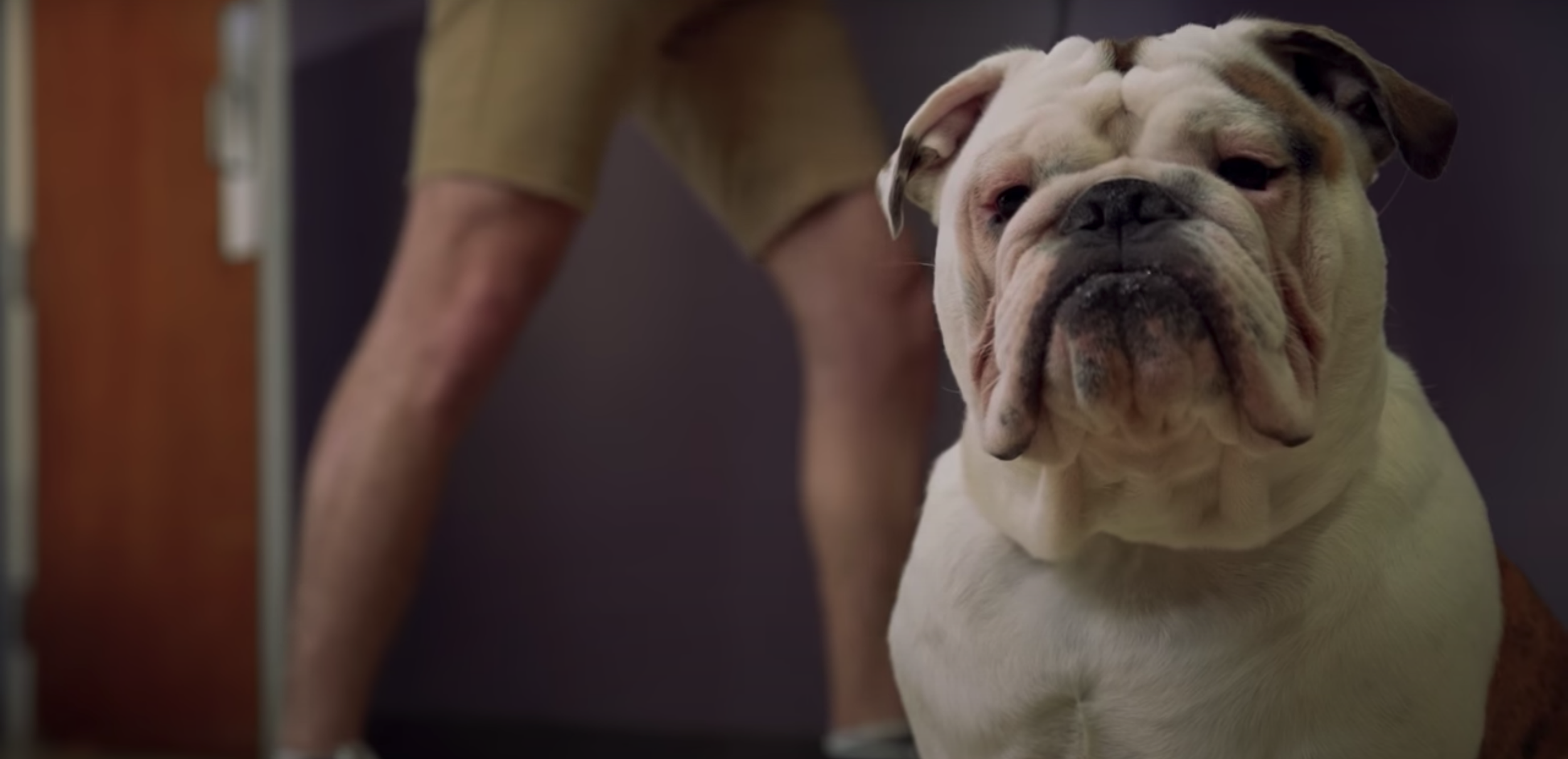 Screen Shot 2022-08-01 at 10.02.08 PM.png