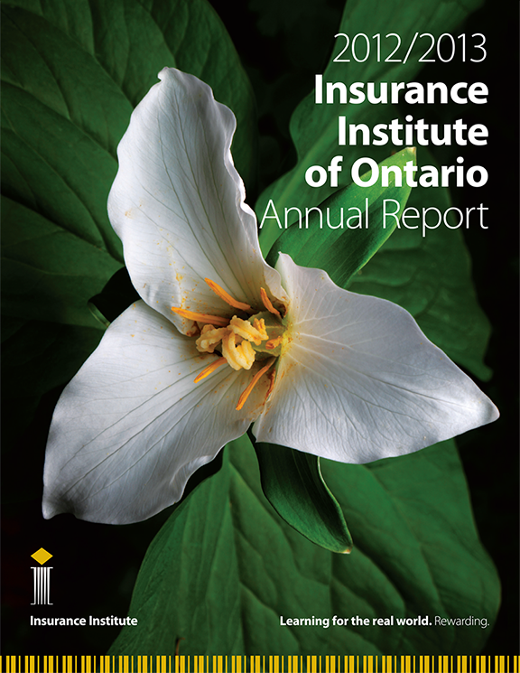 IIO_Annual_Report_cover.png