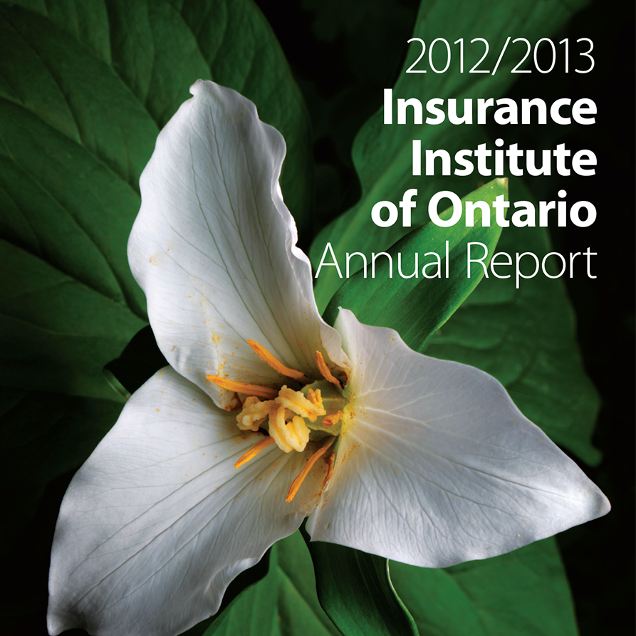 IIO_Annual_Report_cropped.png