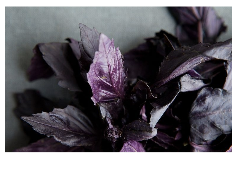 photo source | the year in food