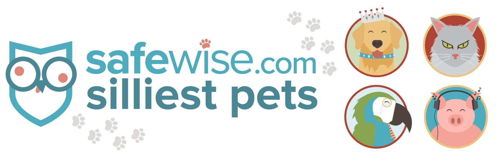 SW_Silliest Pets_1.0_hero image.png