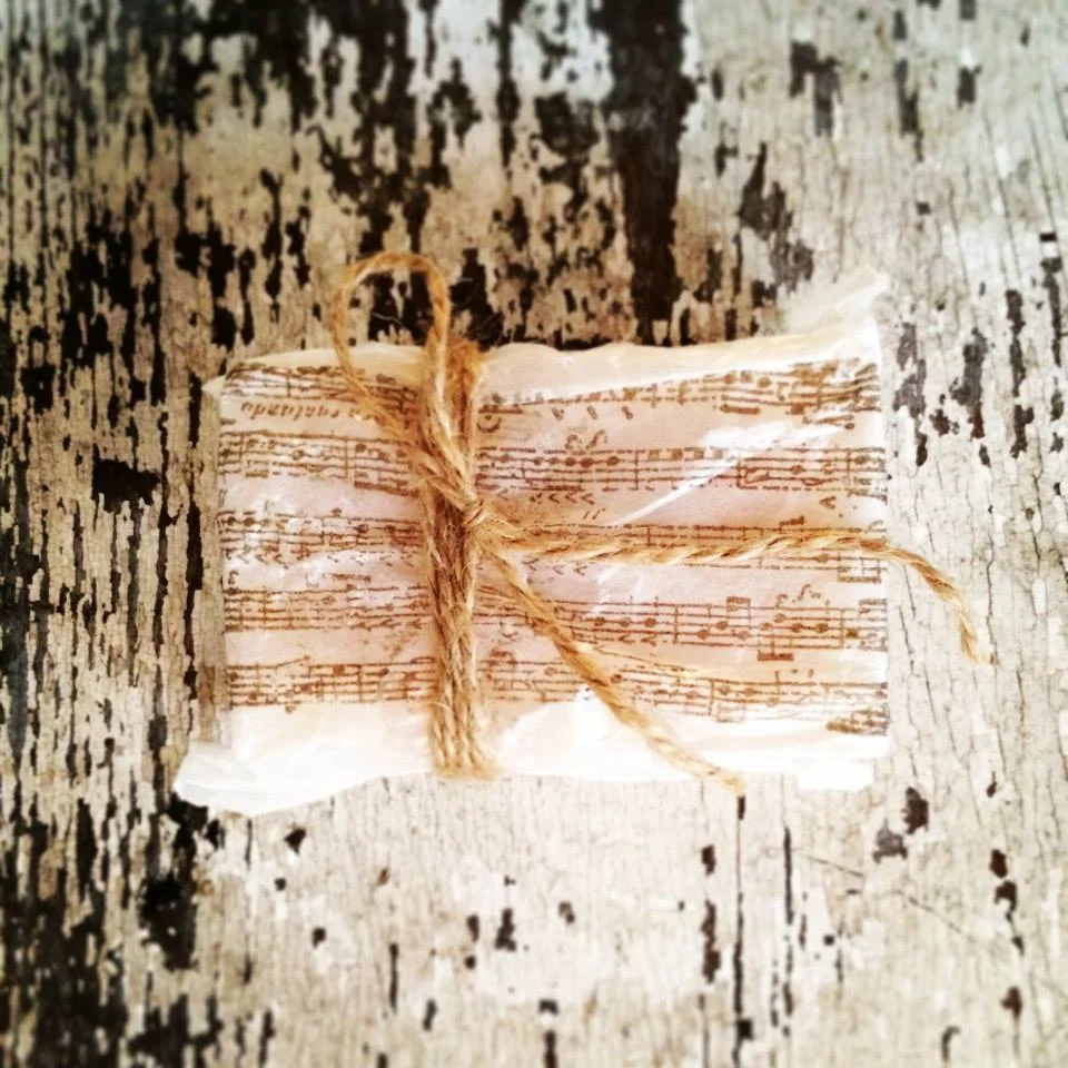 005 SOAP 104 - Music Notes.jpg