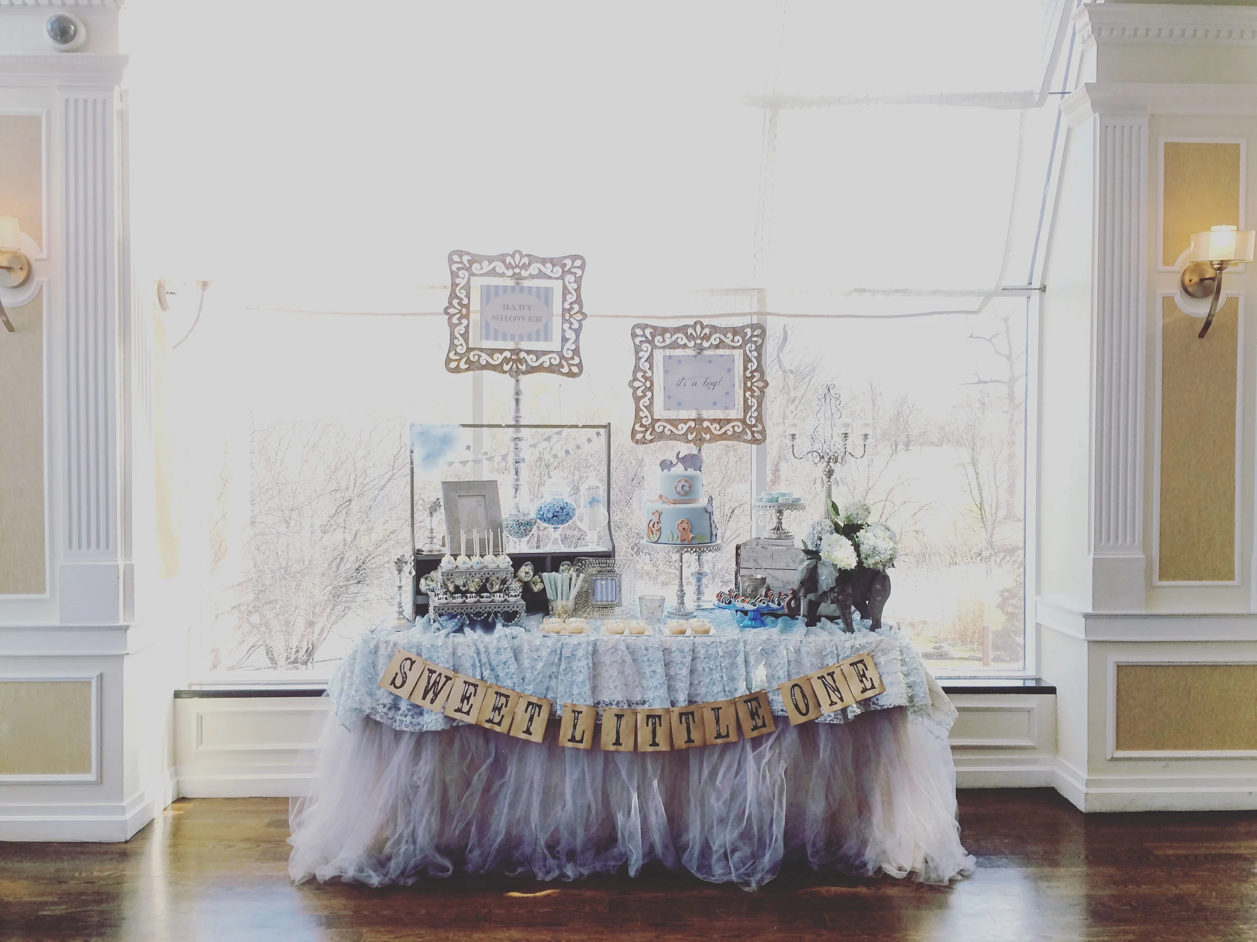 Baby Shower (Alison)