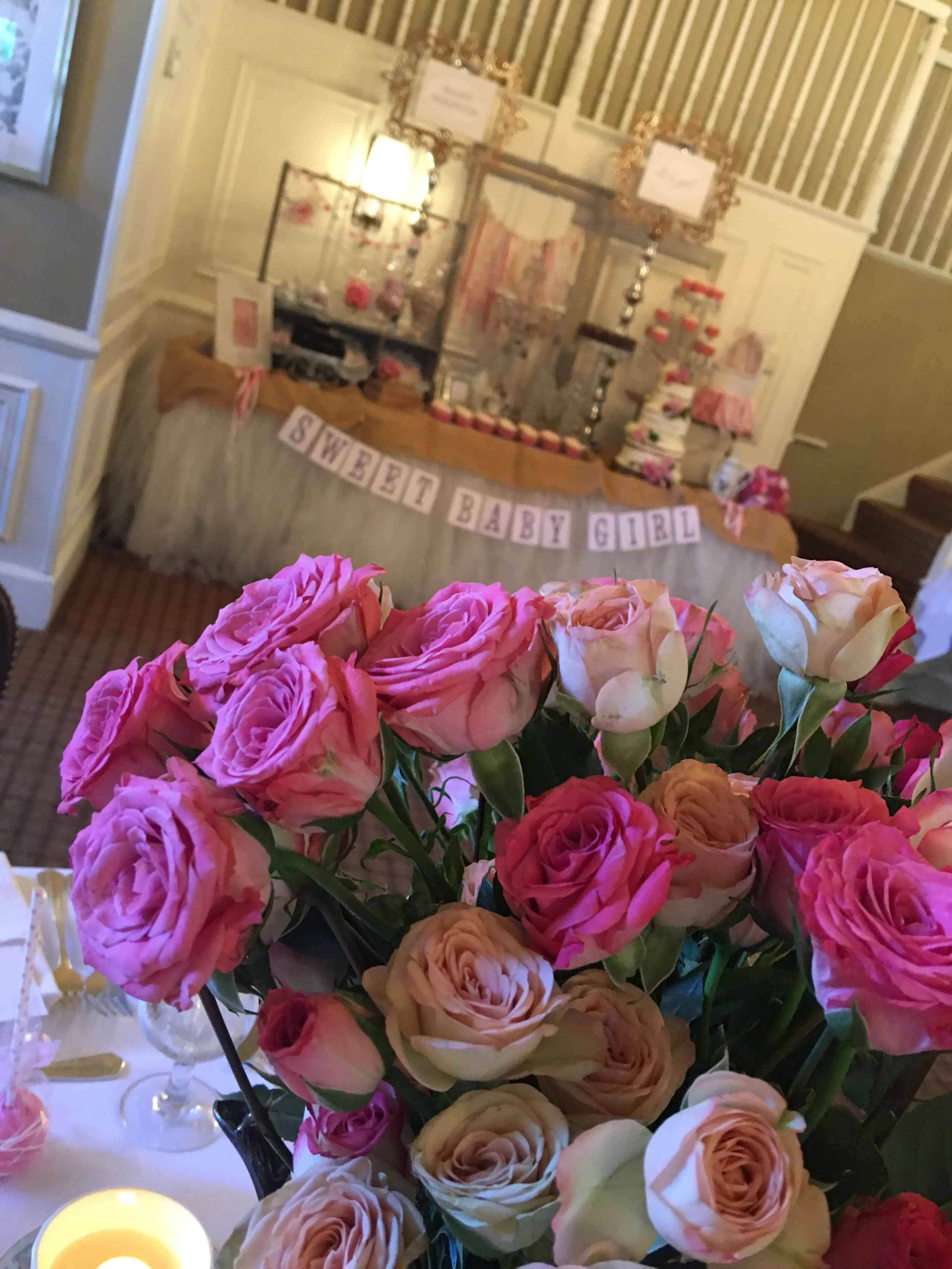 Baby Shower (Marina)